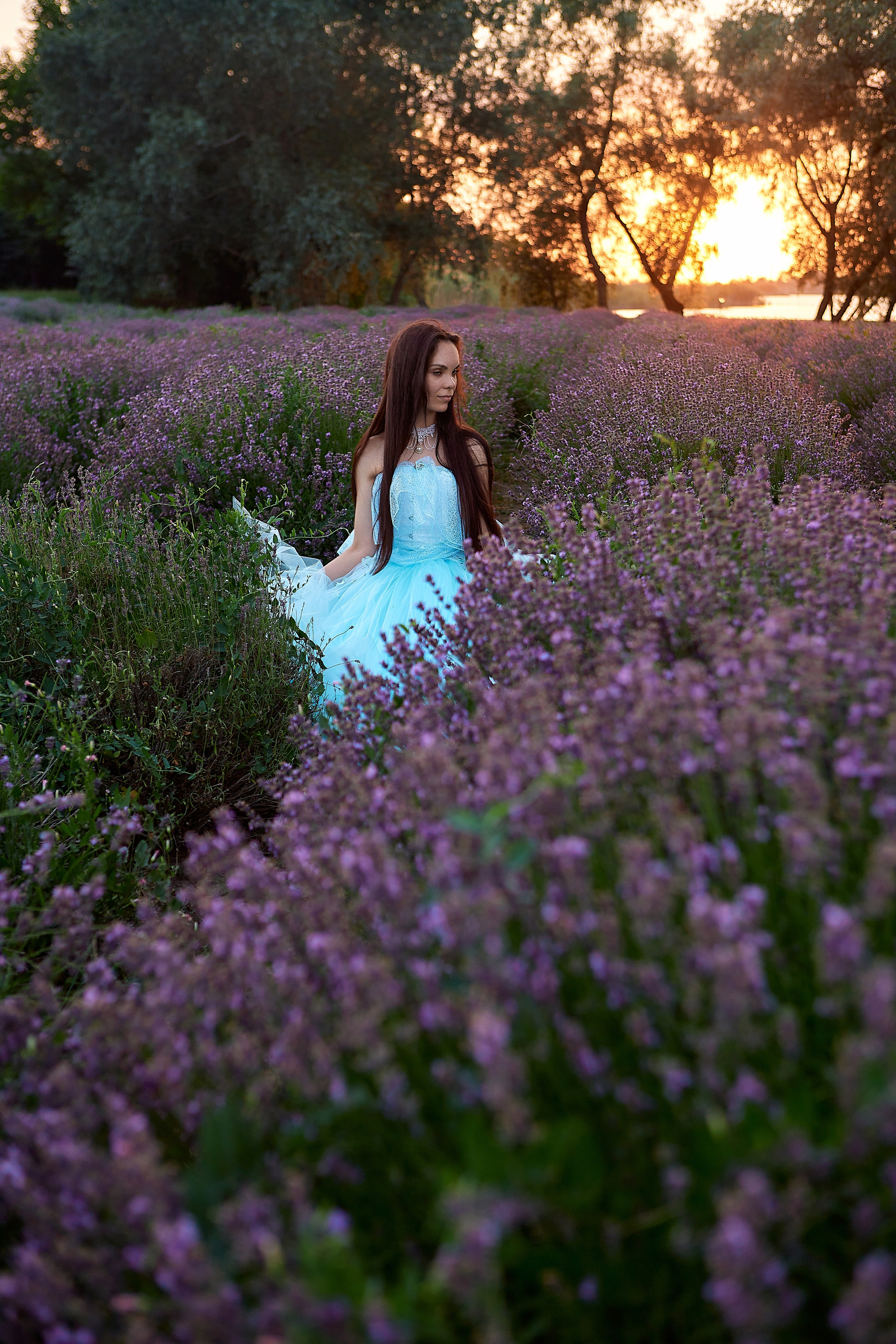 Фотосессия в лаванде винтаж. Семейный и свадебный фотограф в Краснодаре Михеева Светлана