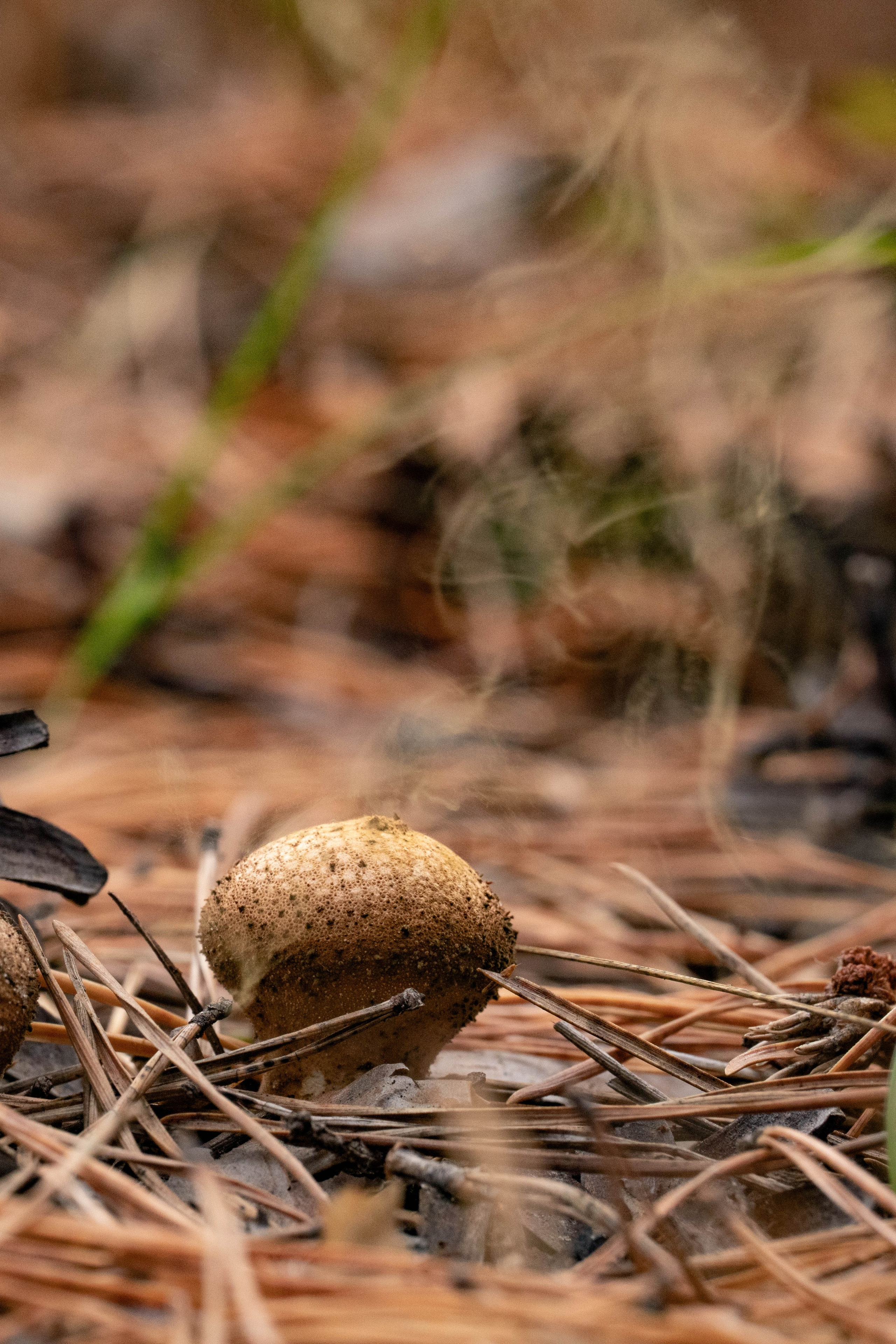 Курганская область. Daria wanderer photography