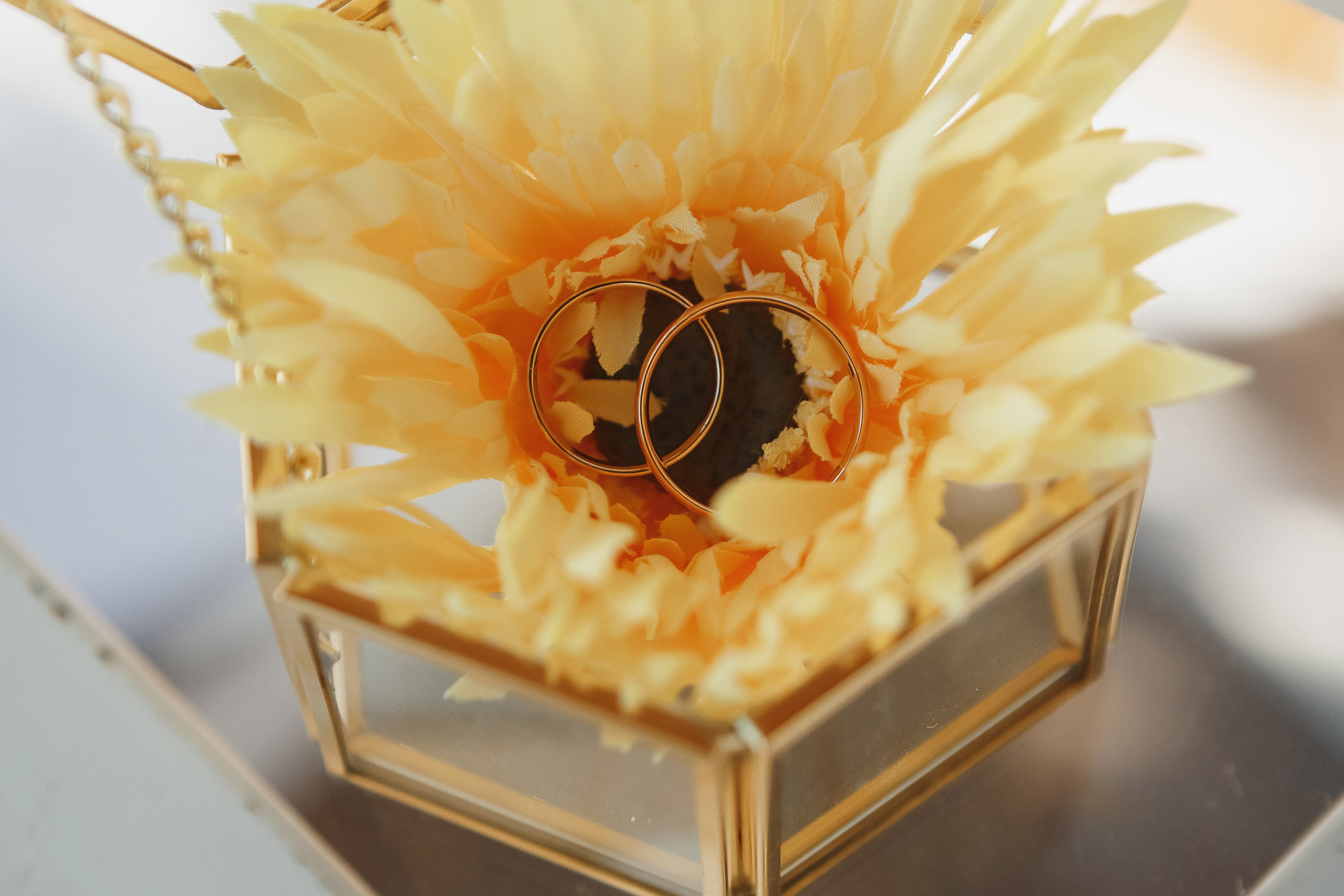 Свадебная фотосессия Михаила и Валерии на Чеховской набережной. Свадебный и семейный фотограф в Таганроге Бакарюк Антон