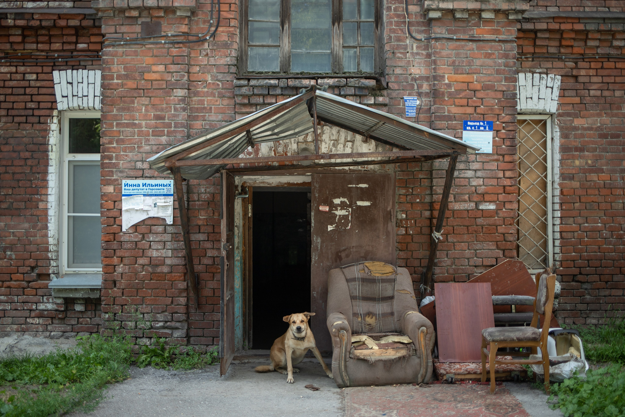 DOC. Photographer Alina Skitovich