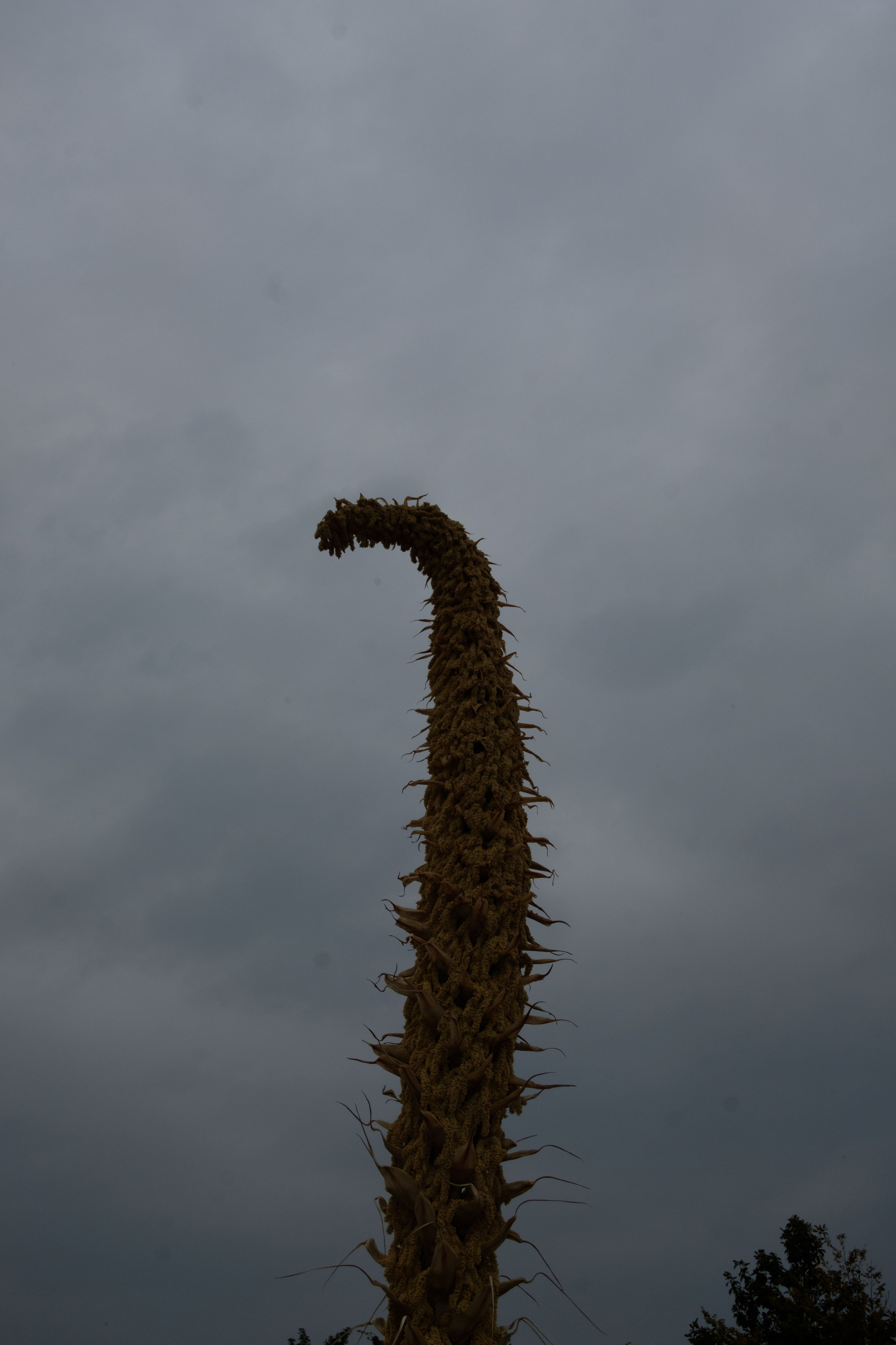 Simple. Photos. Photographer, Documentary and Art