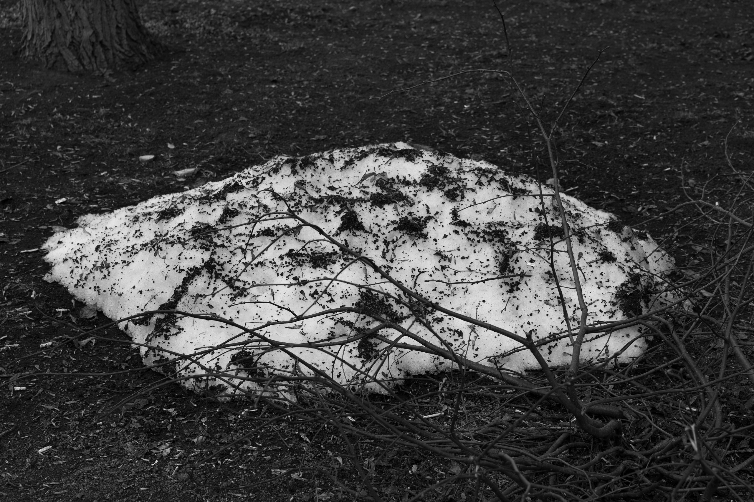 Art prints. Фотограф алина стерхова, алина стерхова фотограф, фотограф москва