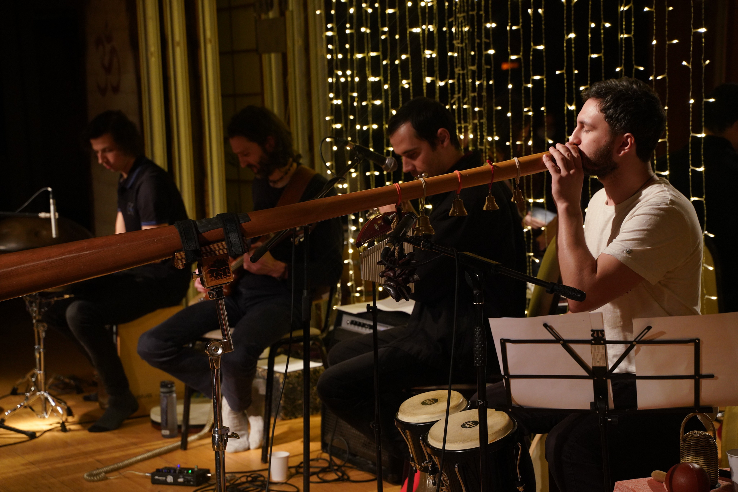 Концерт Forest jam project. Портретный и репортажный фотограф Наталья Горобец