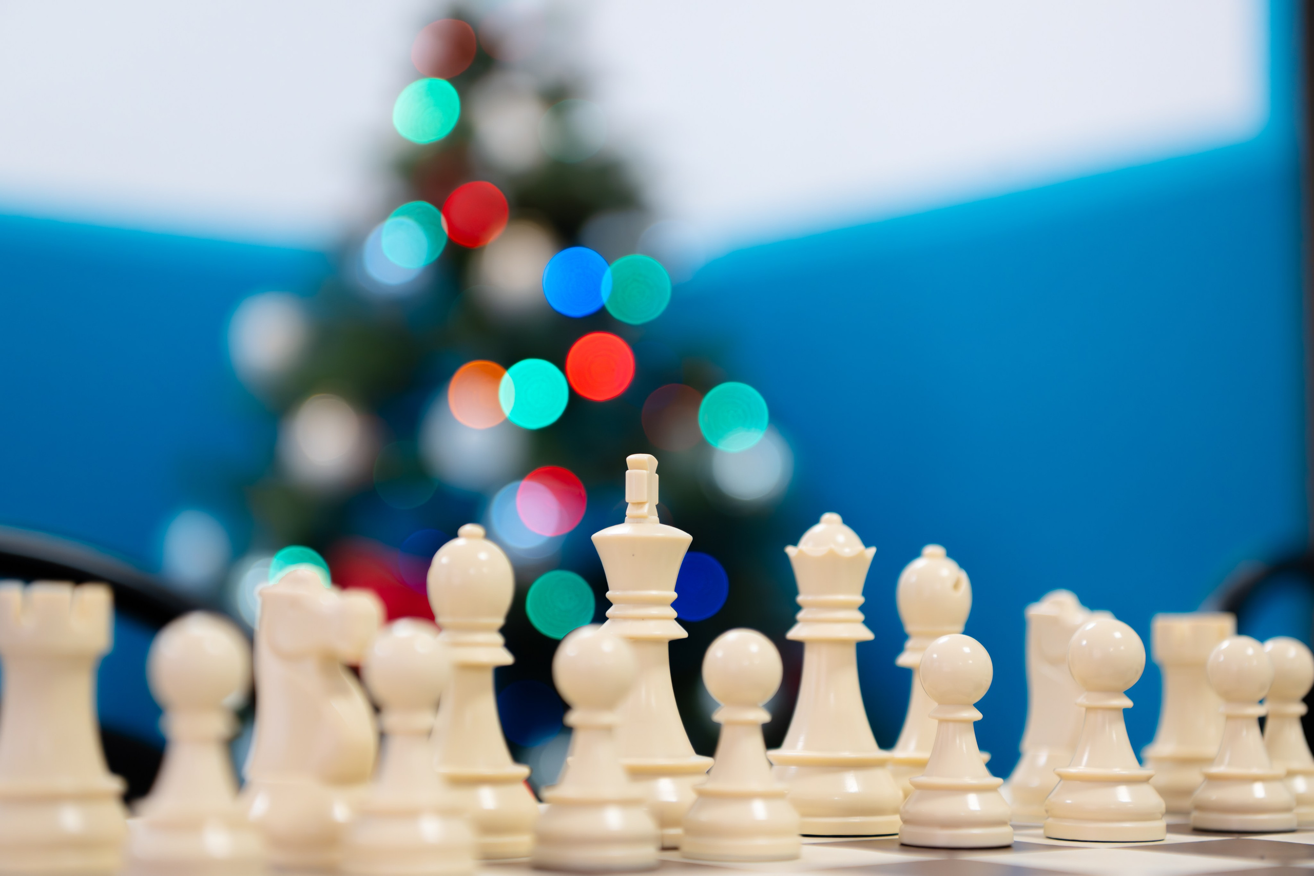 Шахматы. Декабрь 2025. Любимый фотограф