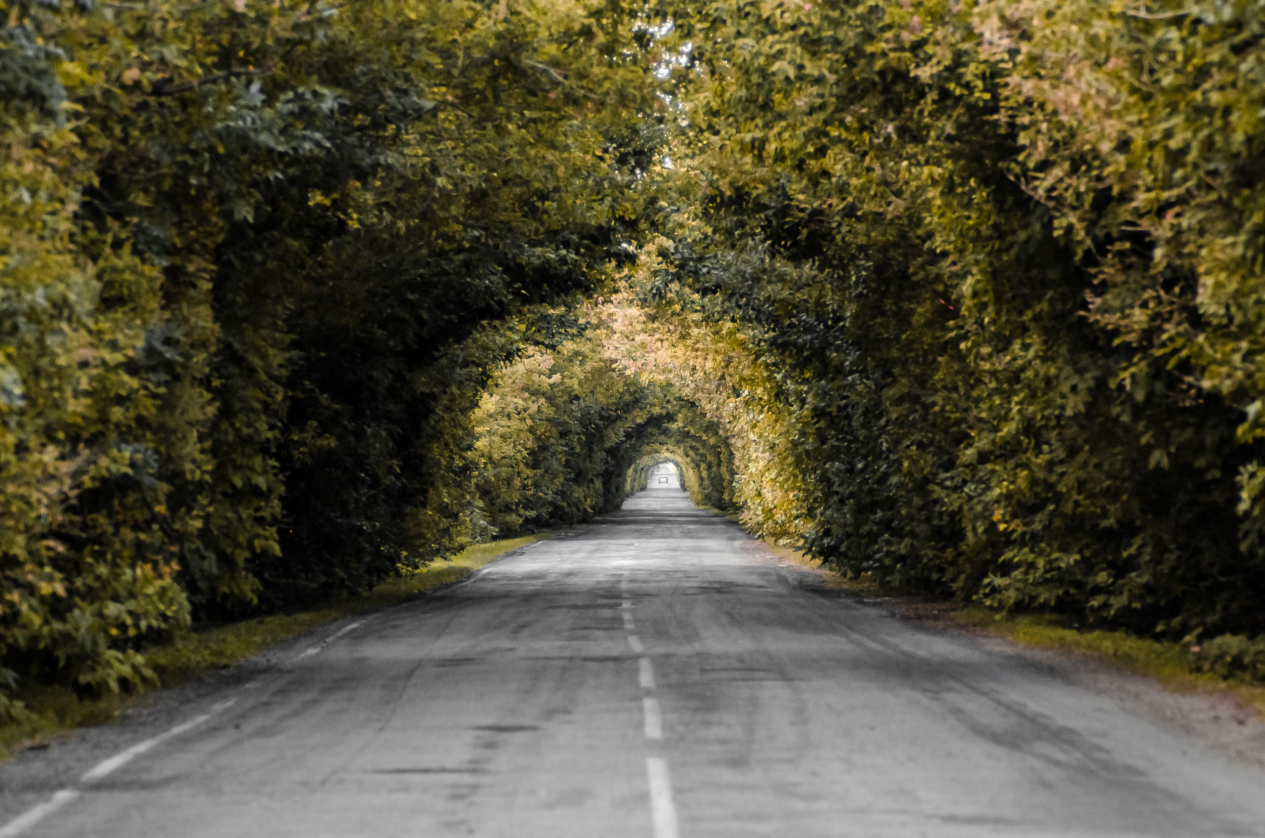 Городской пейзаж. Фотограф Владимир Охрименко