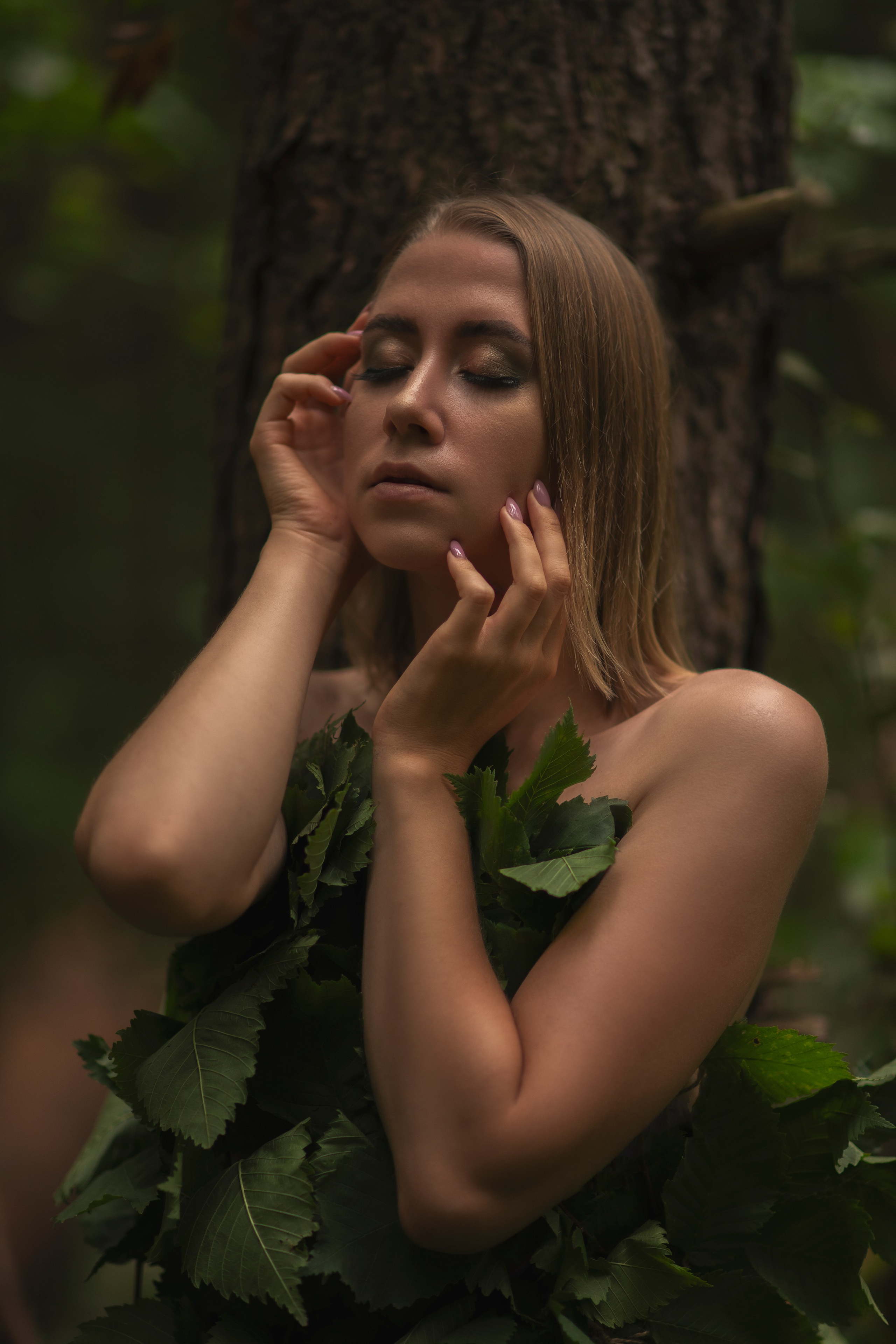 Лесная сказка