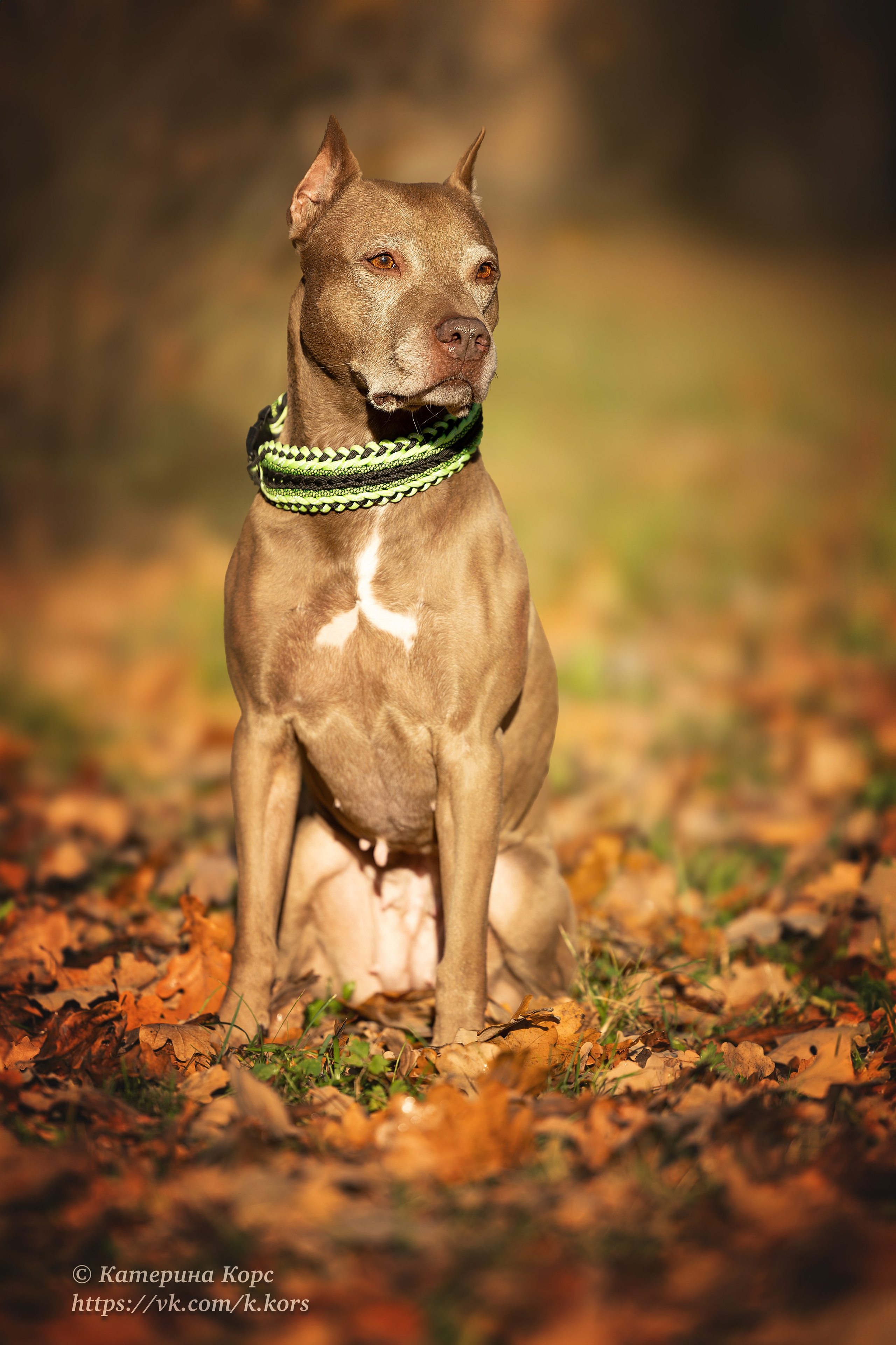 Прогулки. Главная