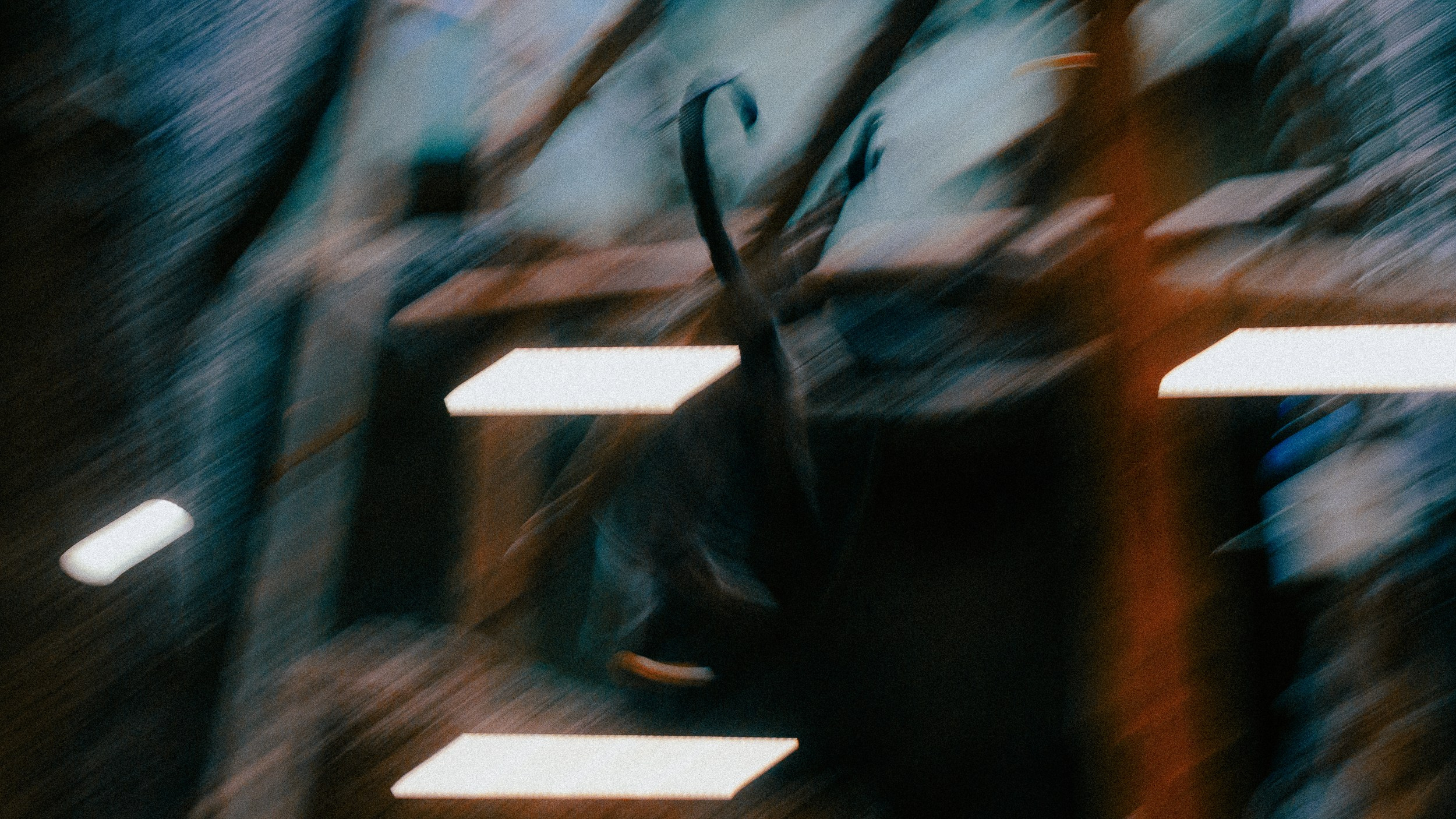 Зоопарк '22. Фёдор Малюгин. Ваш бади в визуале