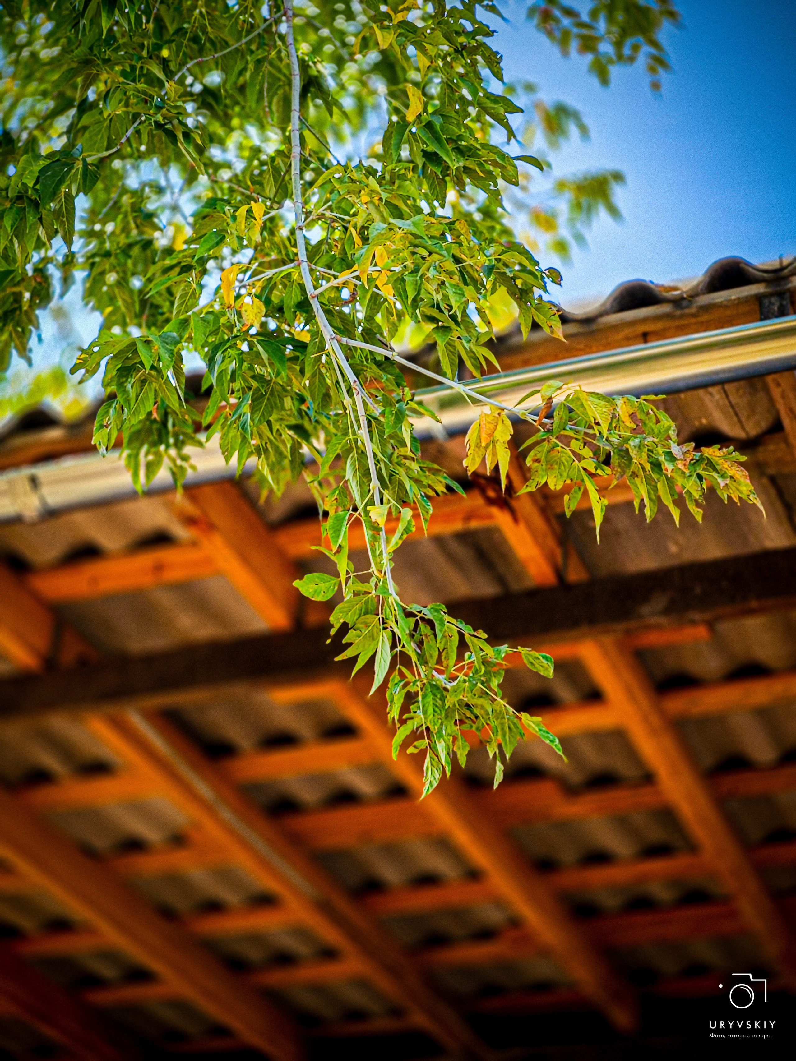 Арт пространство «Хлебзавод». Игорь Урывский. Фотограф Красноярск