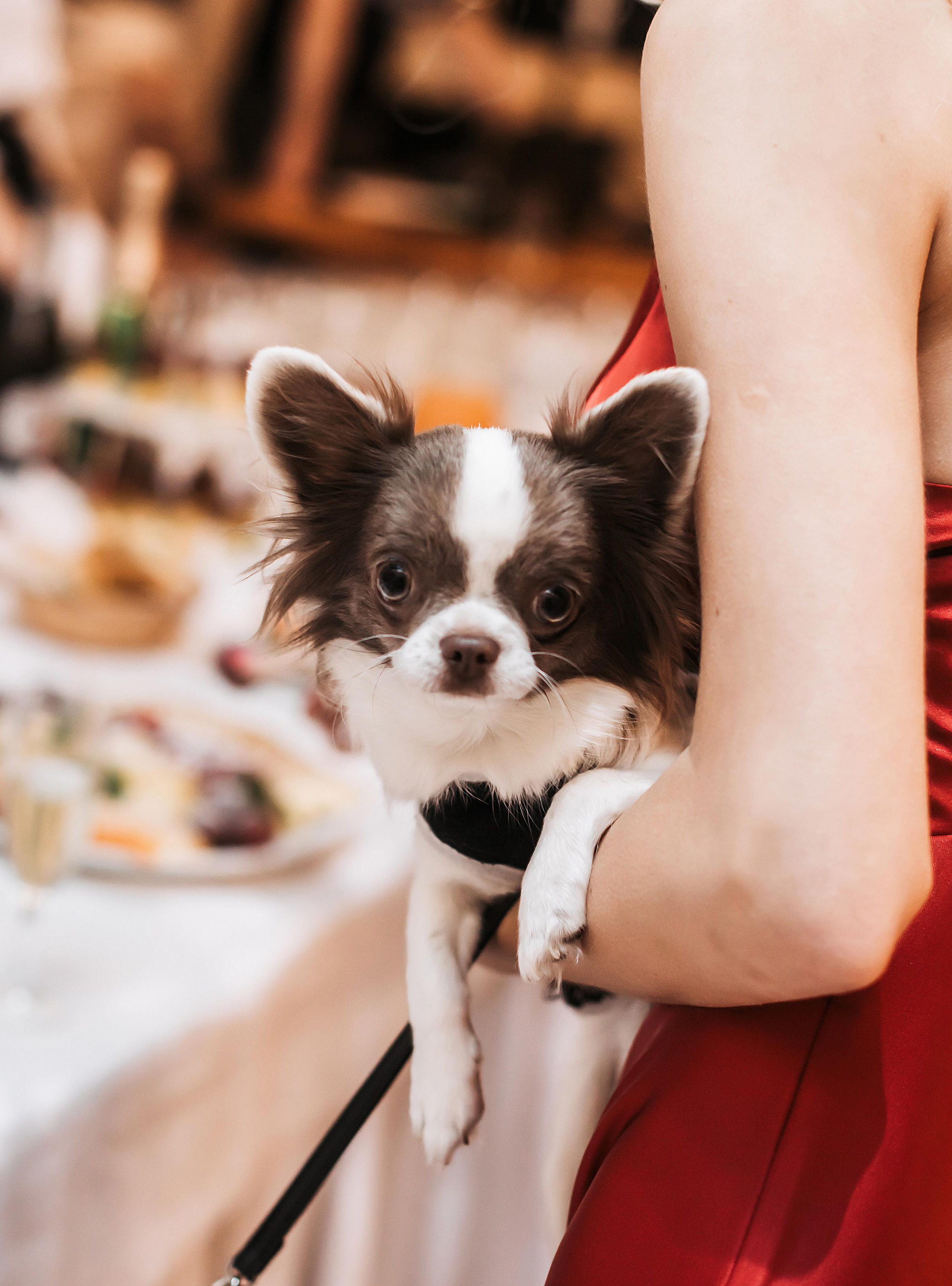 Анна и Александр. Студия творческой фото|видеографии KOKOS-FILM