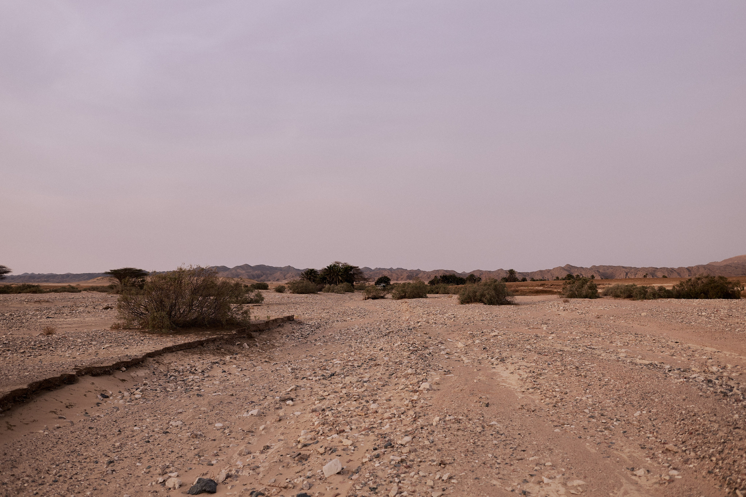 Улица горизонтальная. Jorgis — фотограф в Хургаде / обучение фотографии