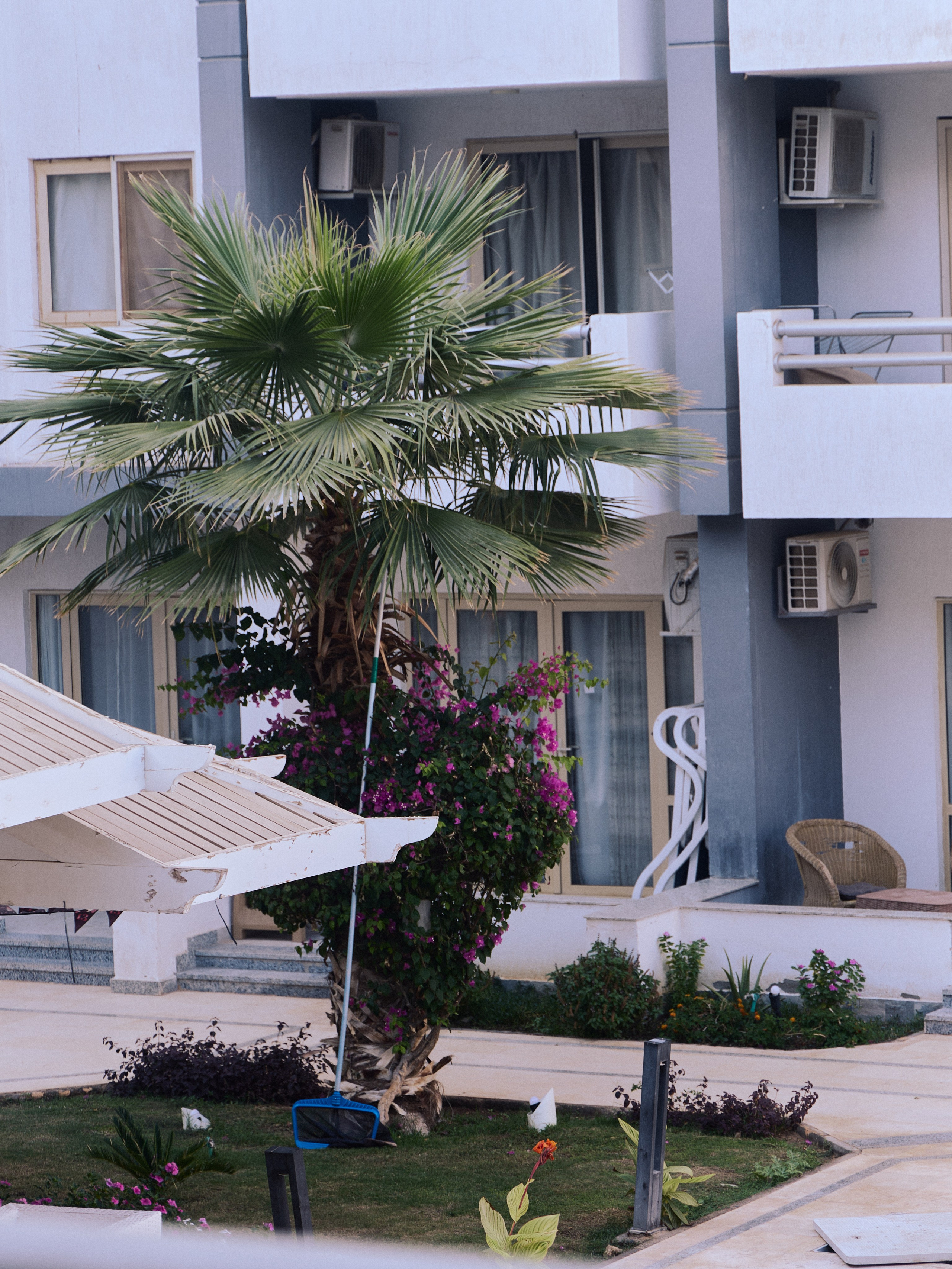 Другое 3. Jorgis — фотограф в Хургаде / обучение фотографии