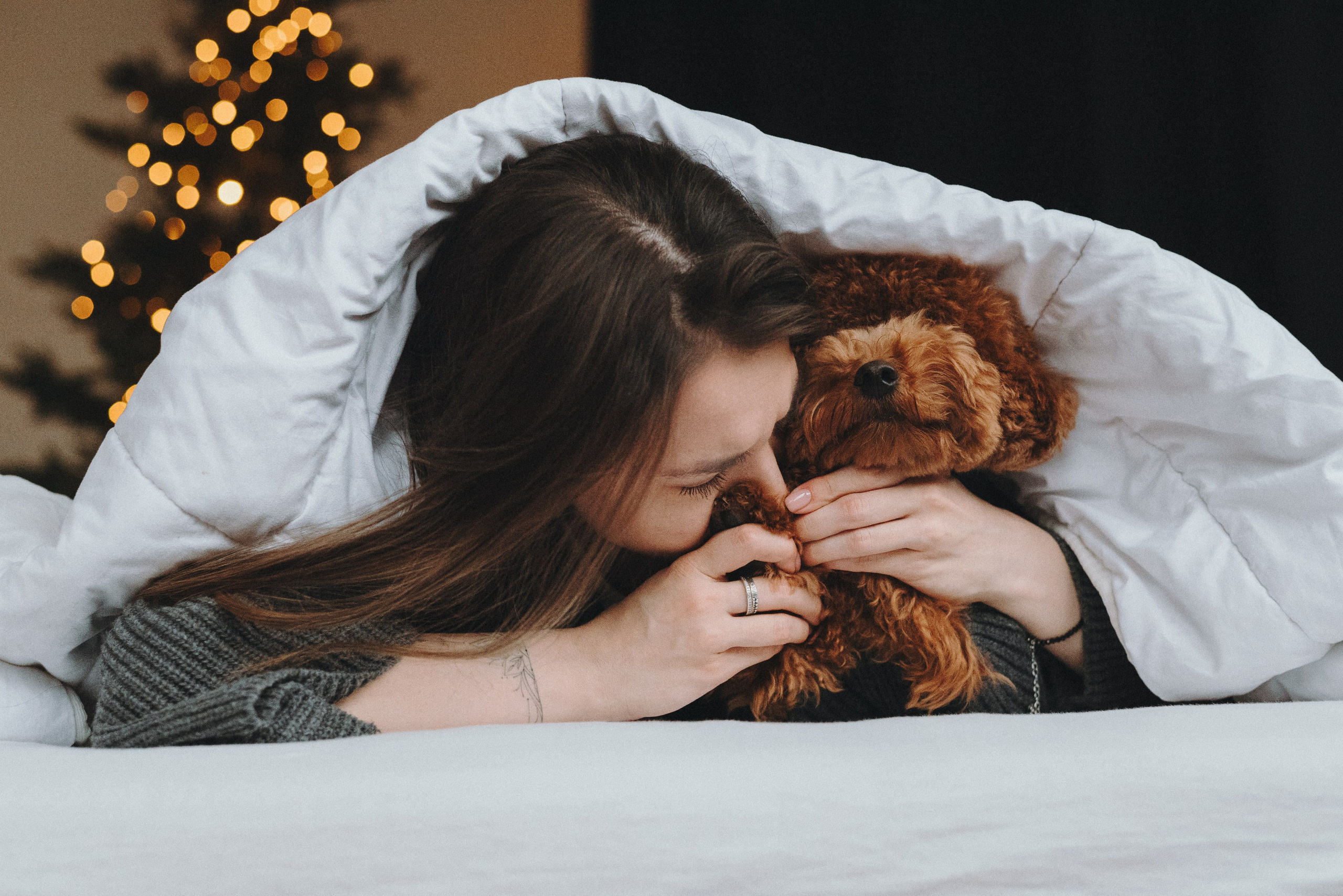 Alena & Marsel. Natalia Finch Photography — Family, Kids & Pet Photographer in Chicago, IL