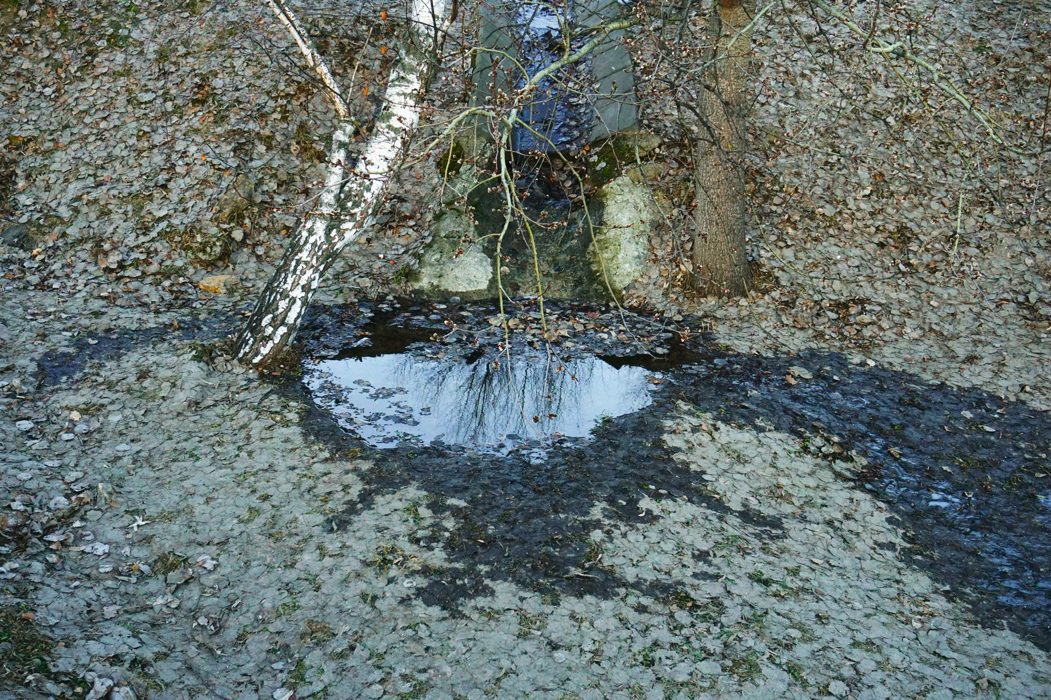 Симуляторы (Каталог № 3). Главная