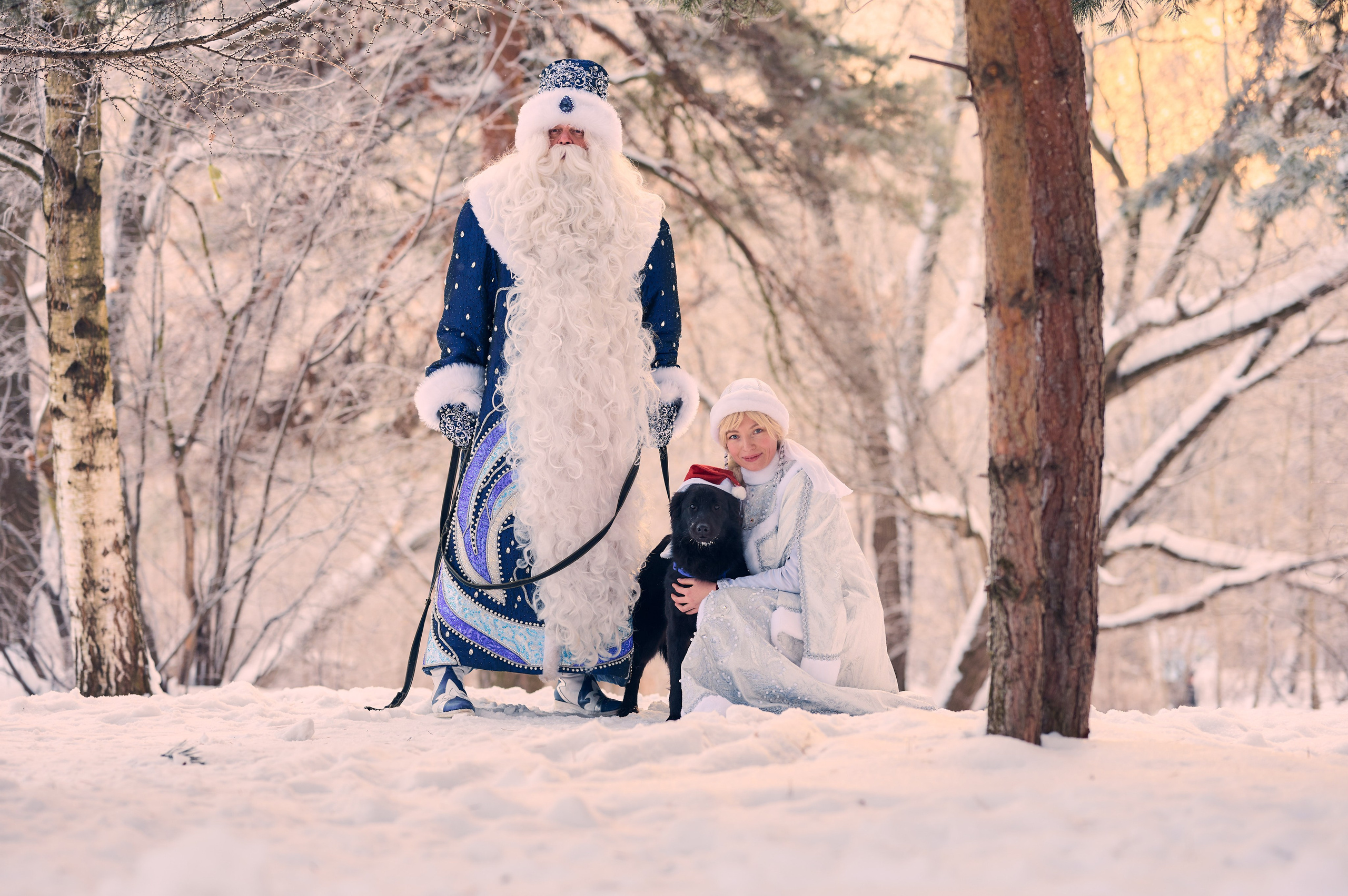 Промо приюта для собак. Никита Хохловский фото и видео продакшн