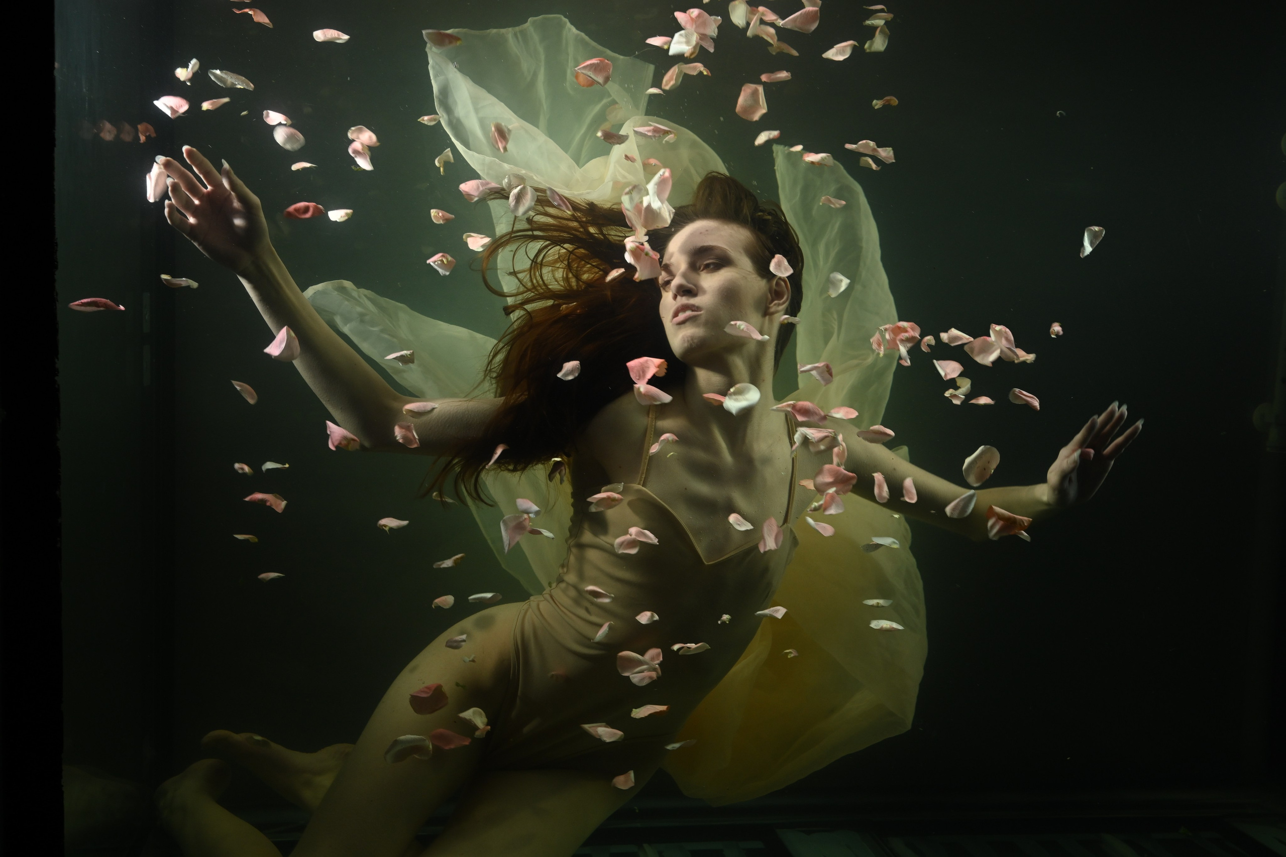 Аквариумные снимки. Фотограф в Санкт-Петербурге Сафронов Николай