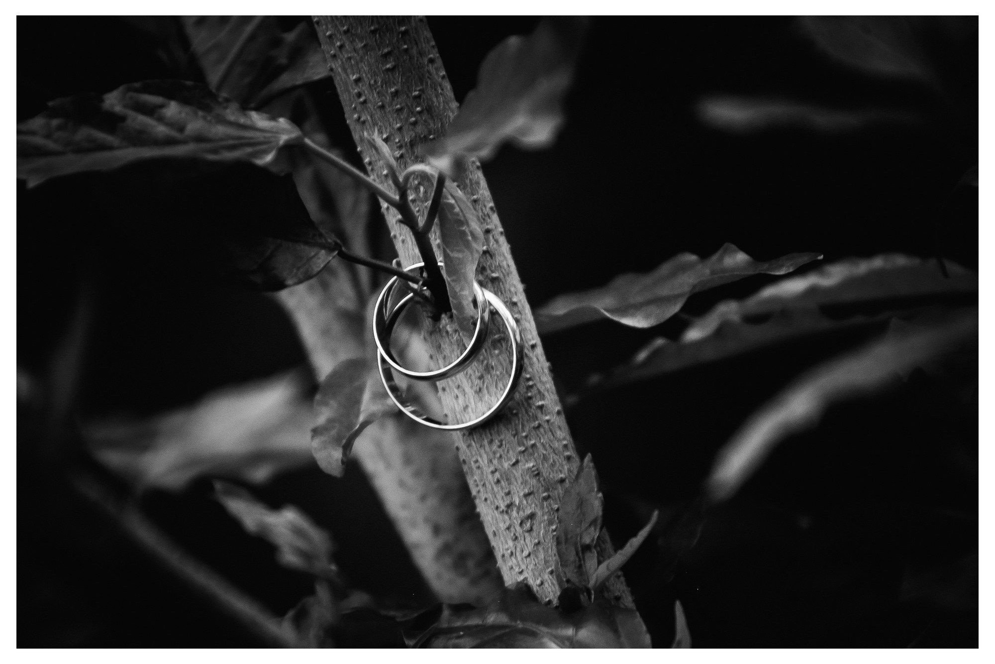 Свадьба Антона и Оли. Фотограф Георгий Сапожников