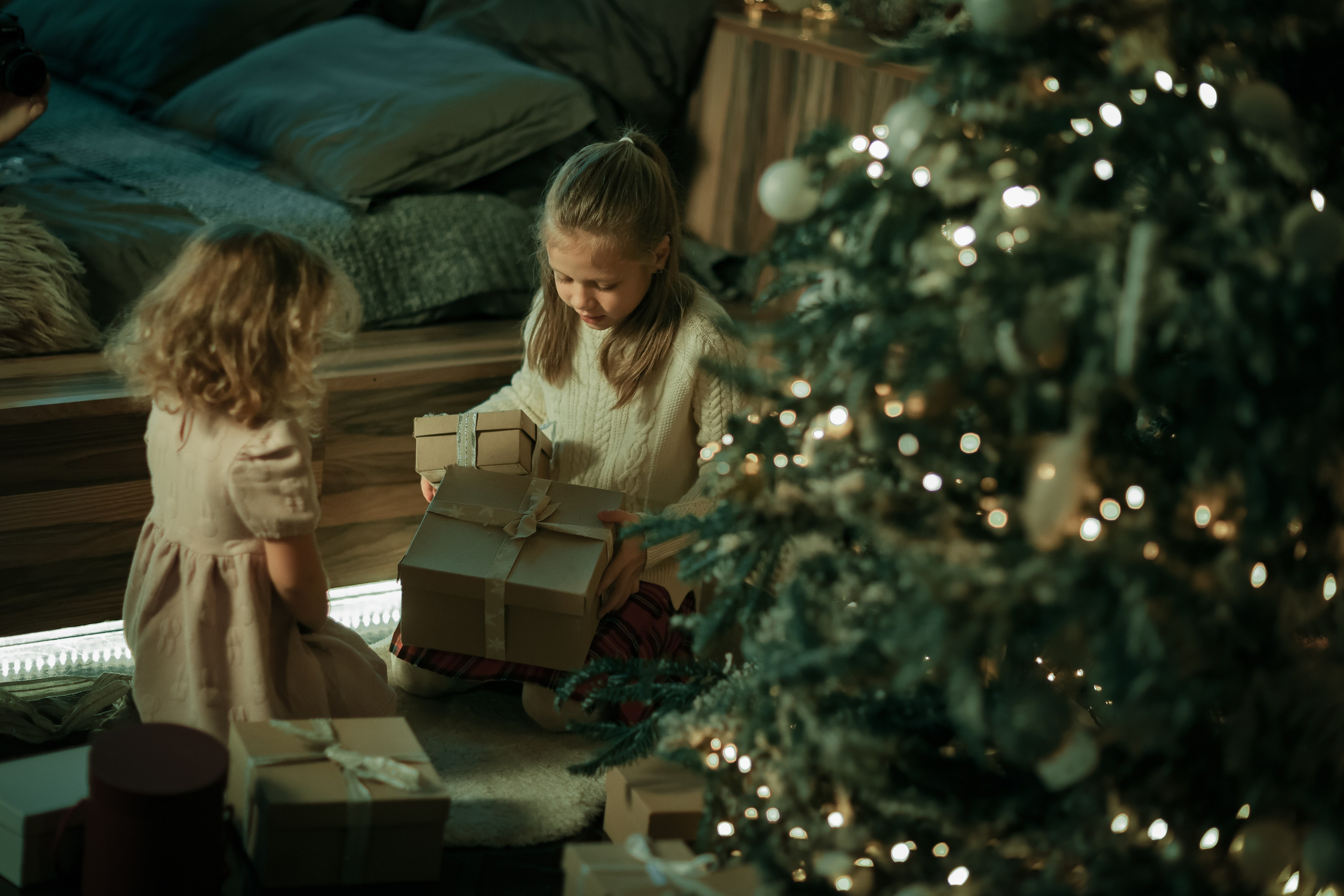 Новогодние фотосессии в студии и дома. Профессиональный фотограф в Москве, Подмосковье