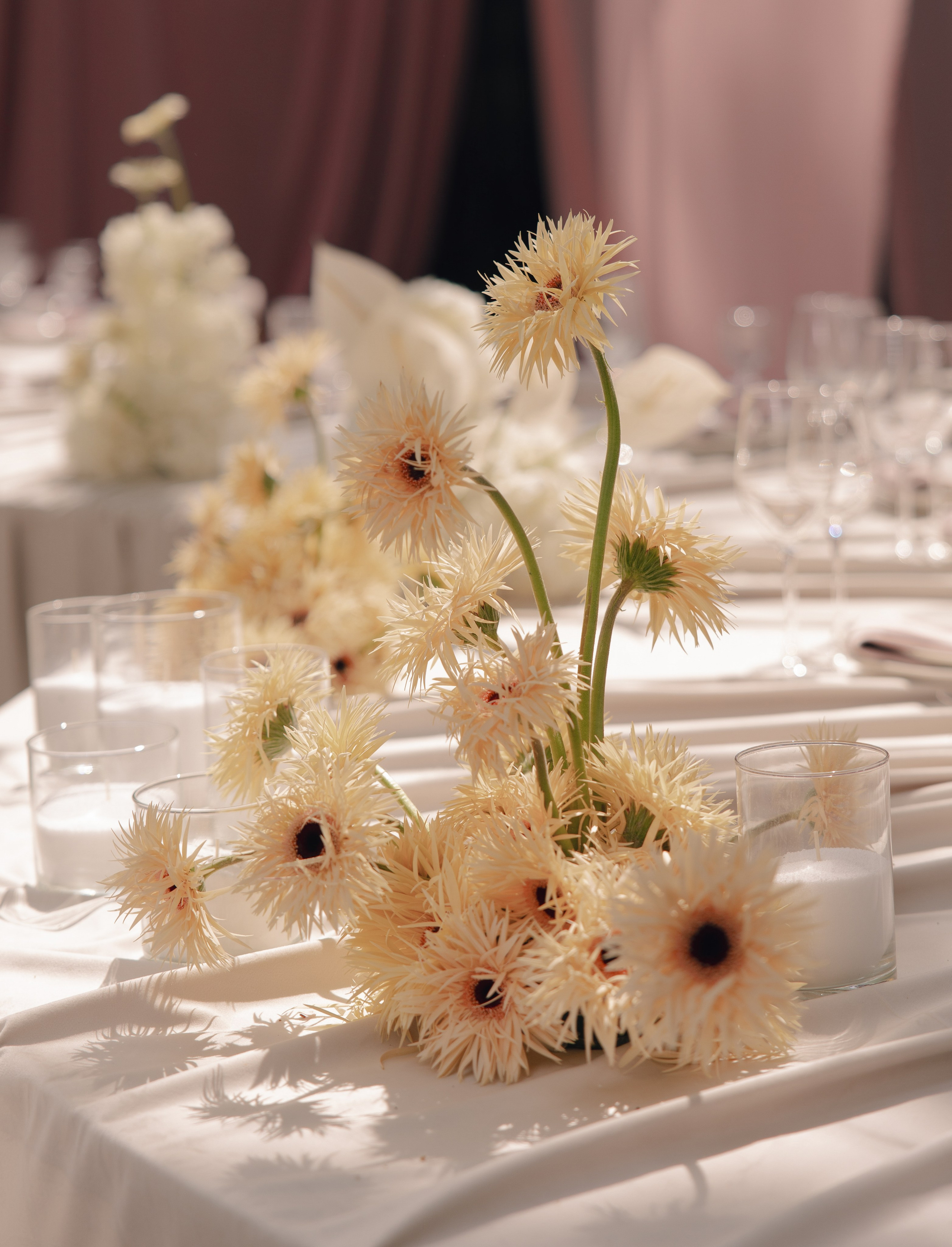 Ты — моя команда!