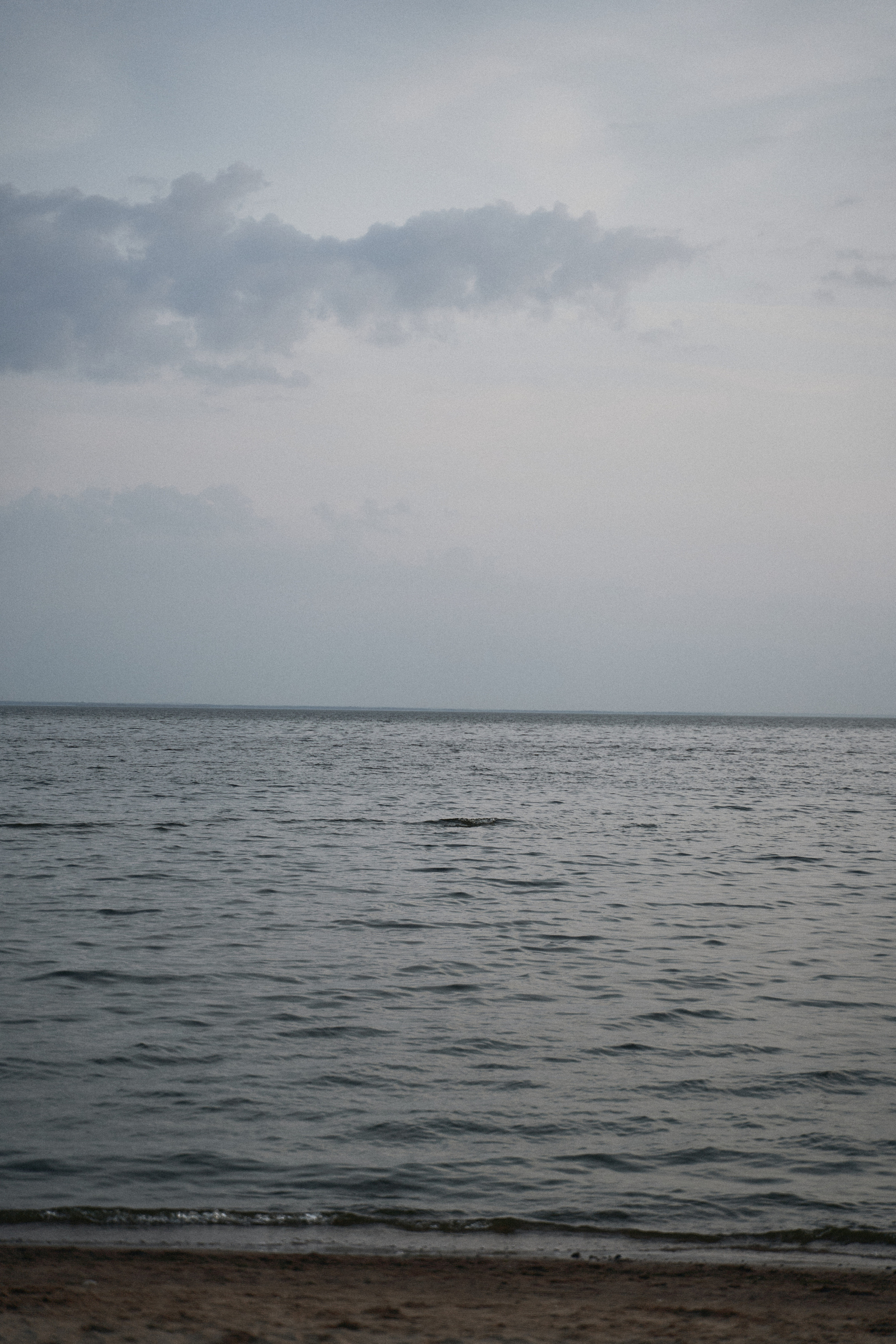 Вероника. Фотограф в Санкт-Петербурге | Аня Маленчук