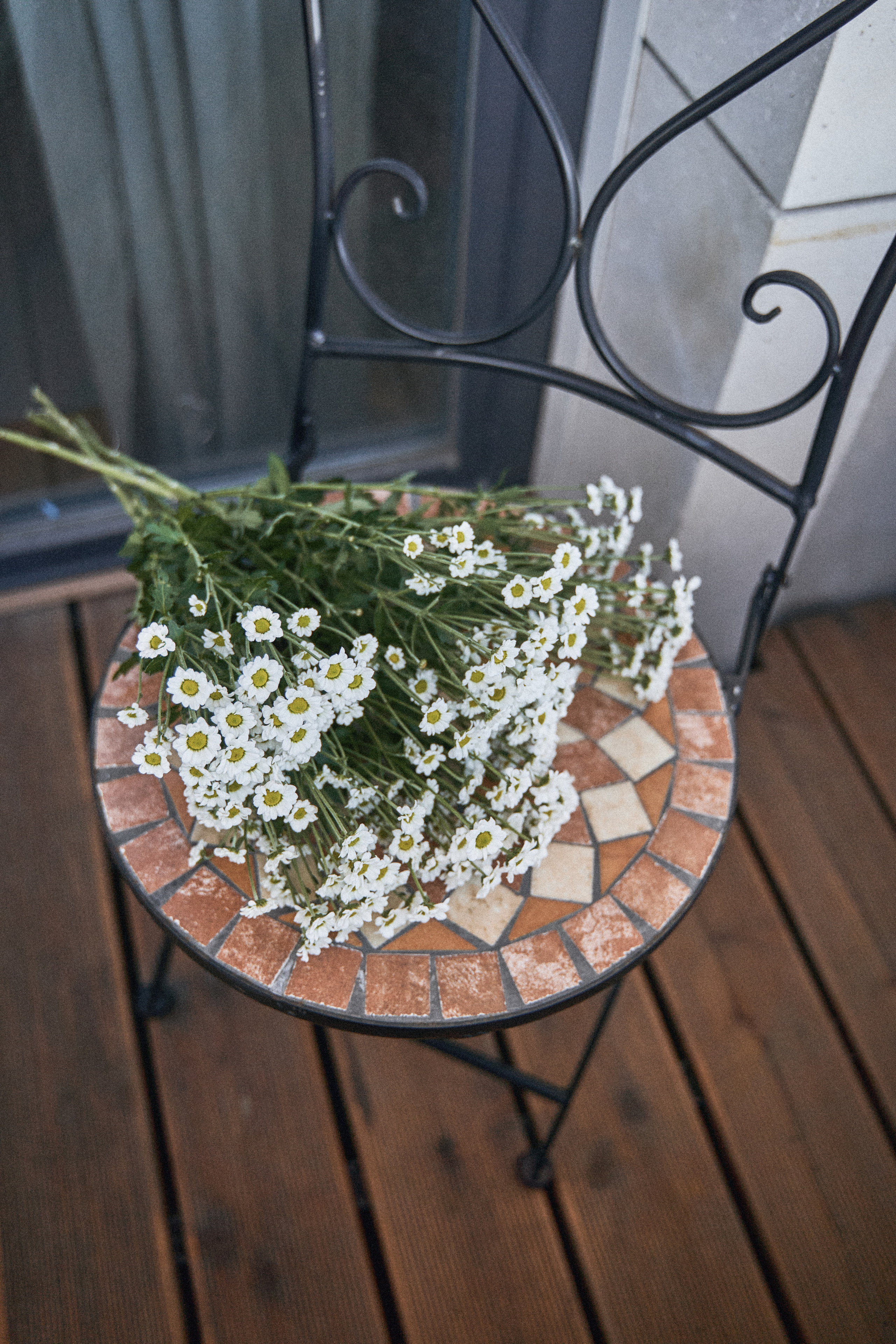 Алия. Фотограф в Санкт-Петербурге | Аня Маленчук