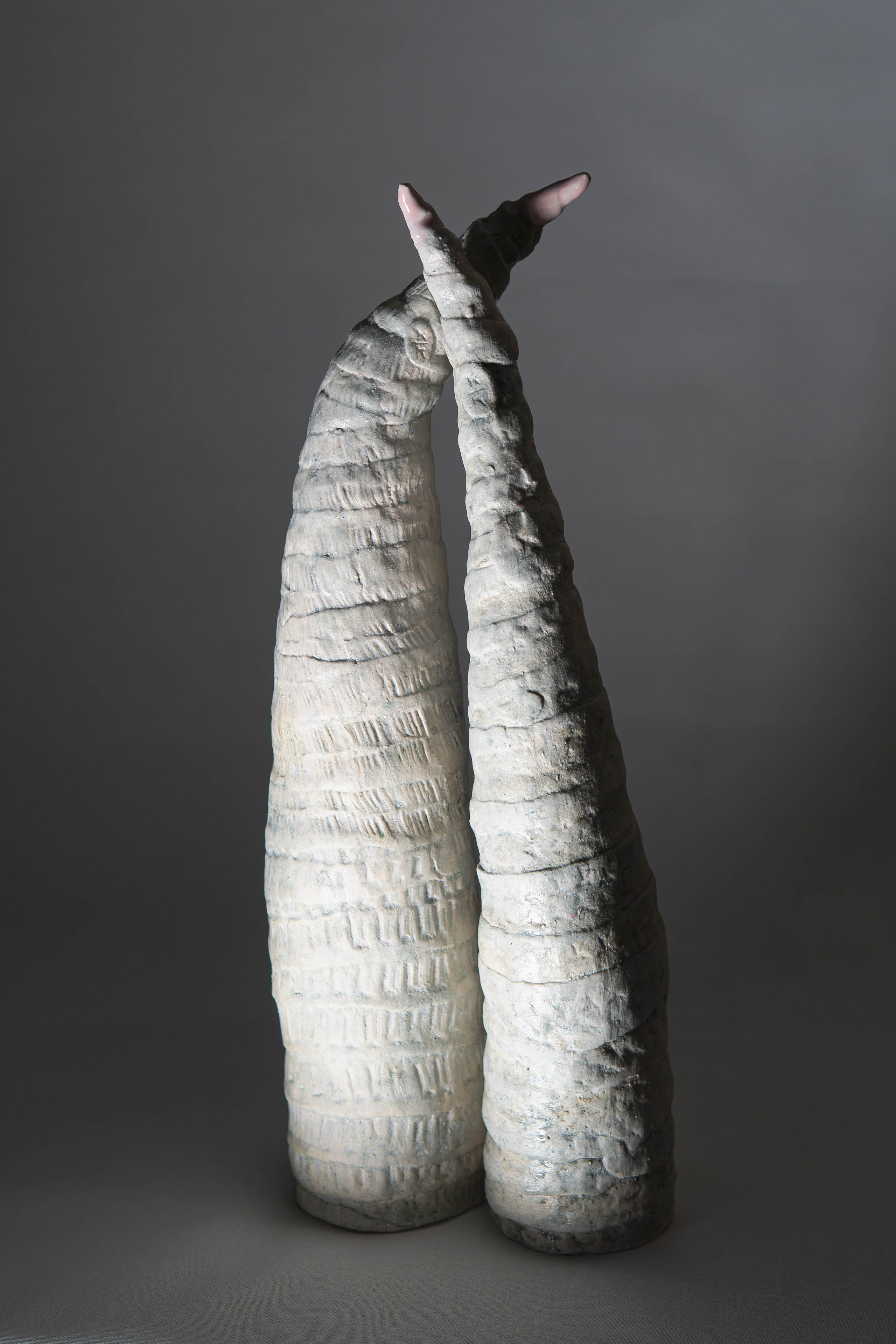 Геркуламум. Хроники. Соучастие.