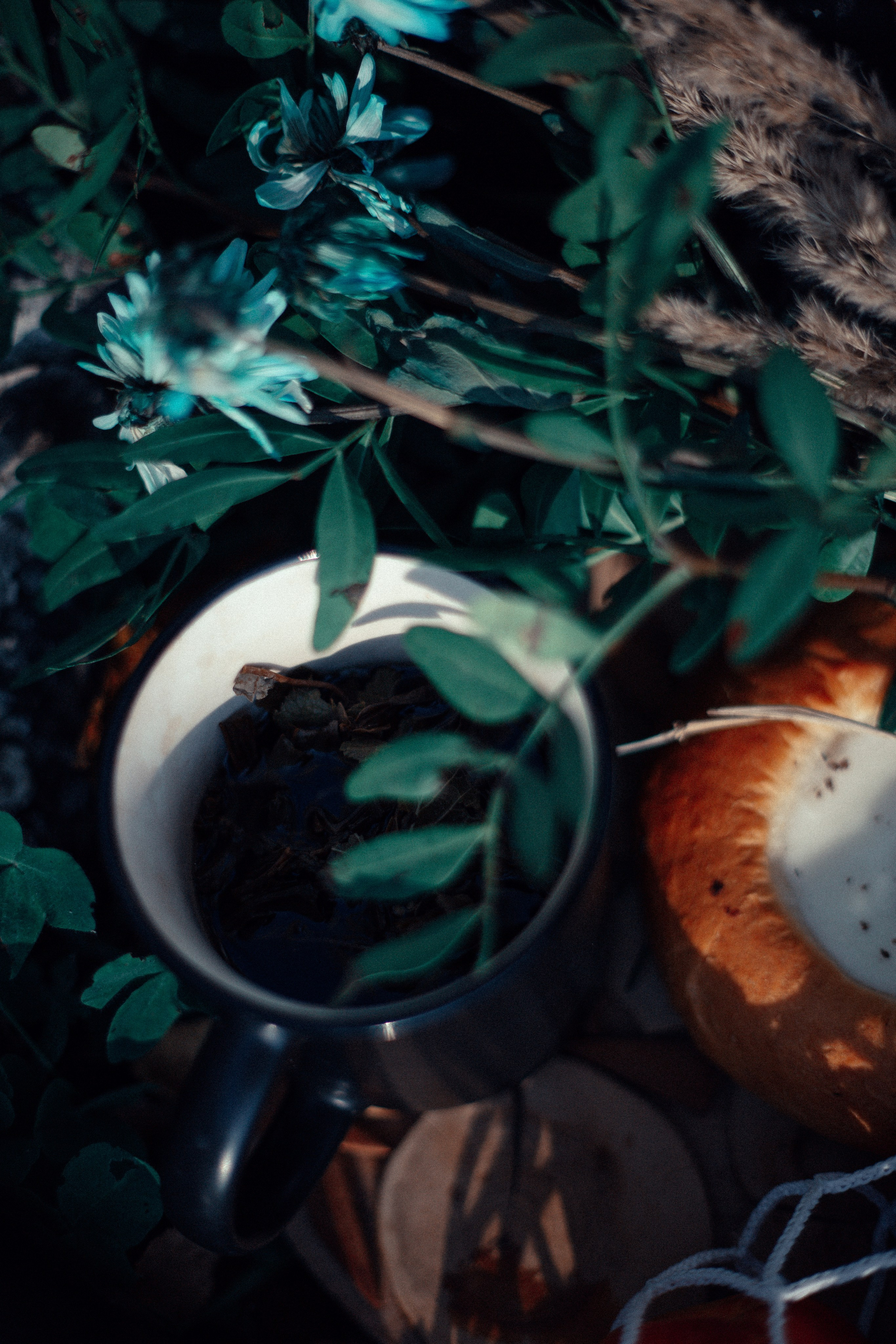 Амели на пикнике. Арт-фотограф Крис Л. в Тобольске: портрет, семейные, свадьбы