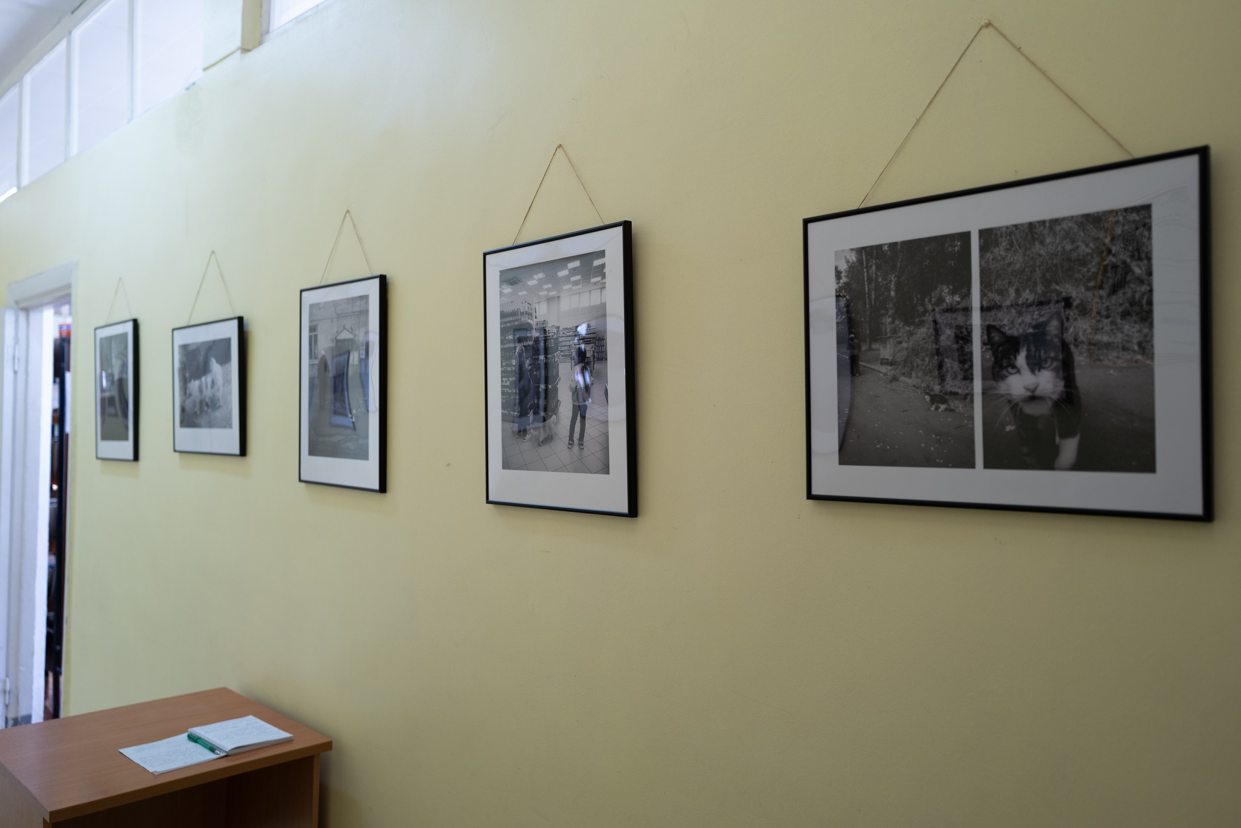 Выставка 01.04.2025. Фотограф Александр Тихонов