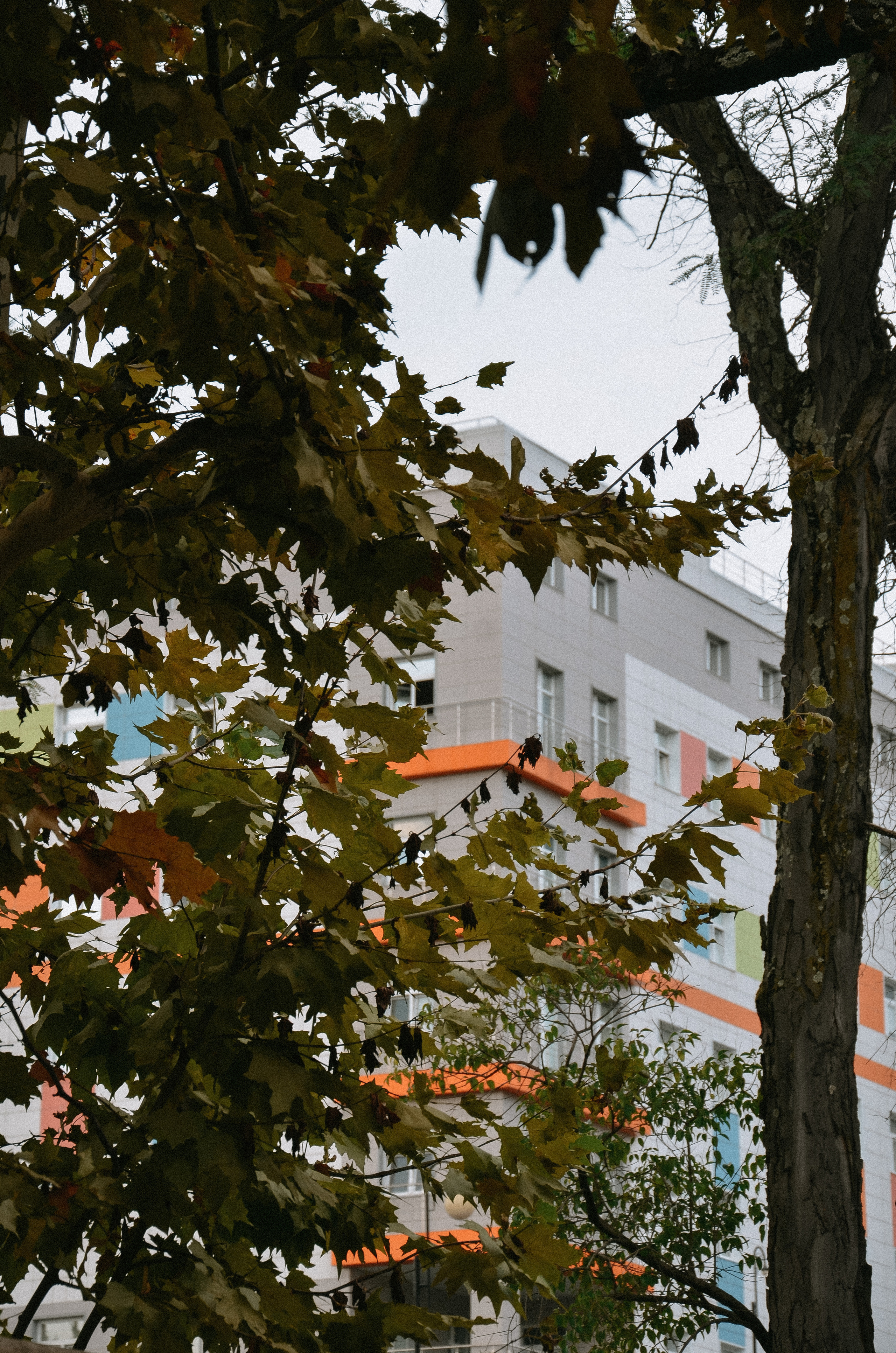 Выписка Леона. ФОТОГРАФ АННА КАЗАРЯН