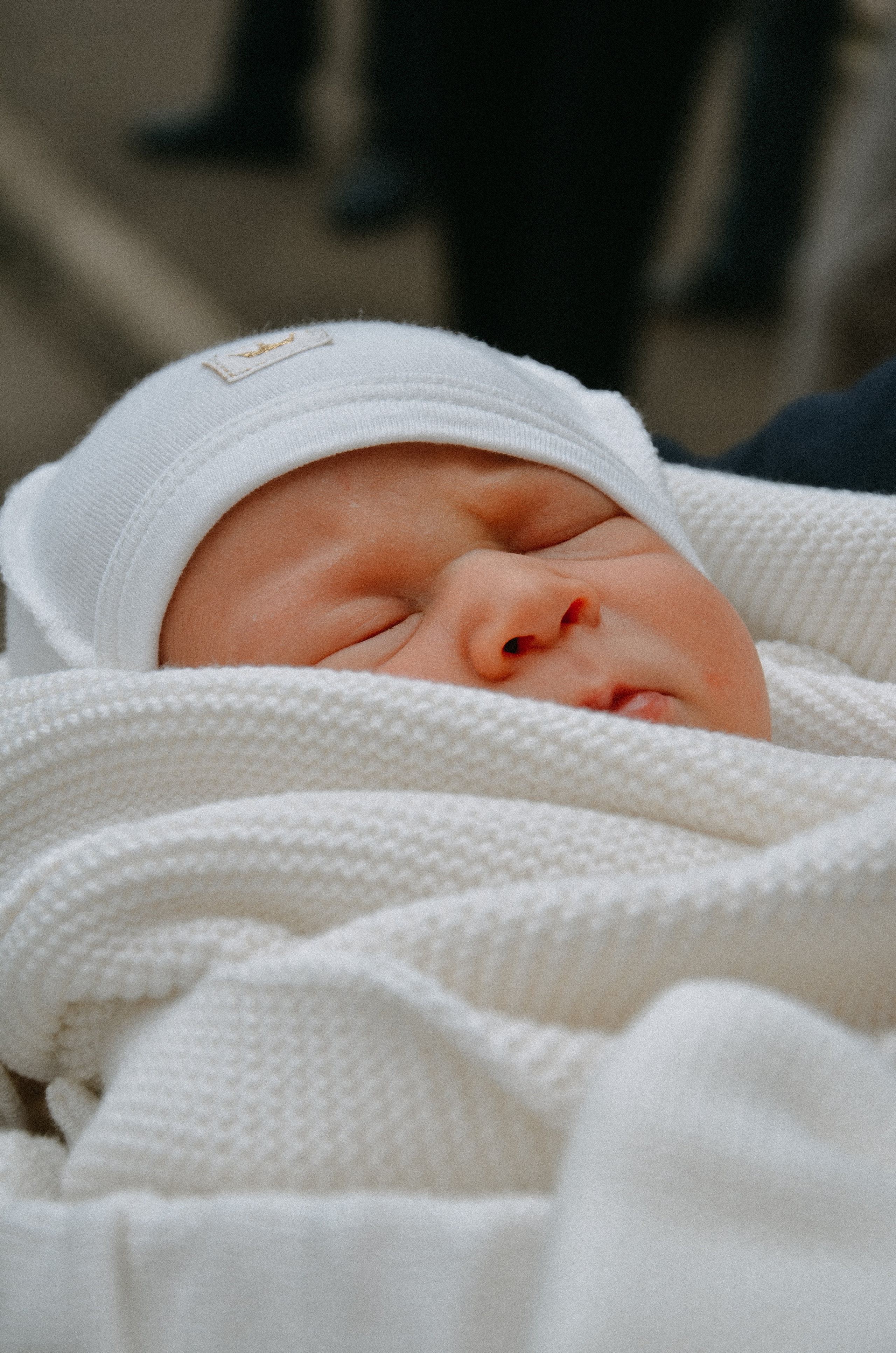 Выписка Леона. ФОТОГРАФ АННА КАЗАРЯН