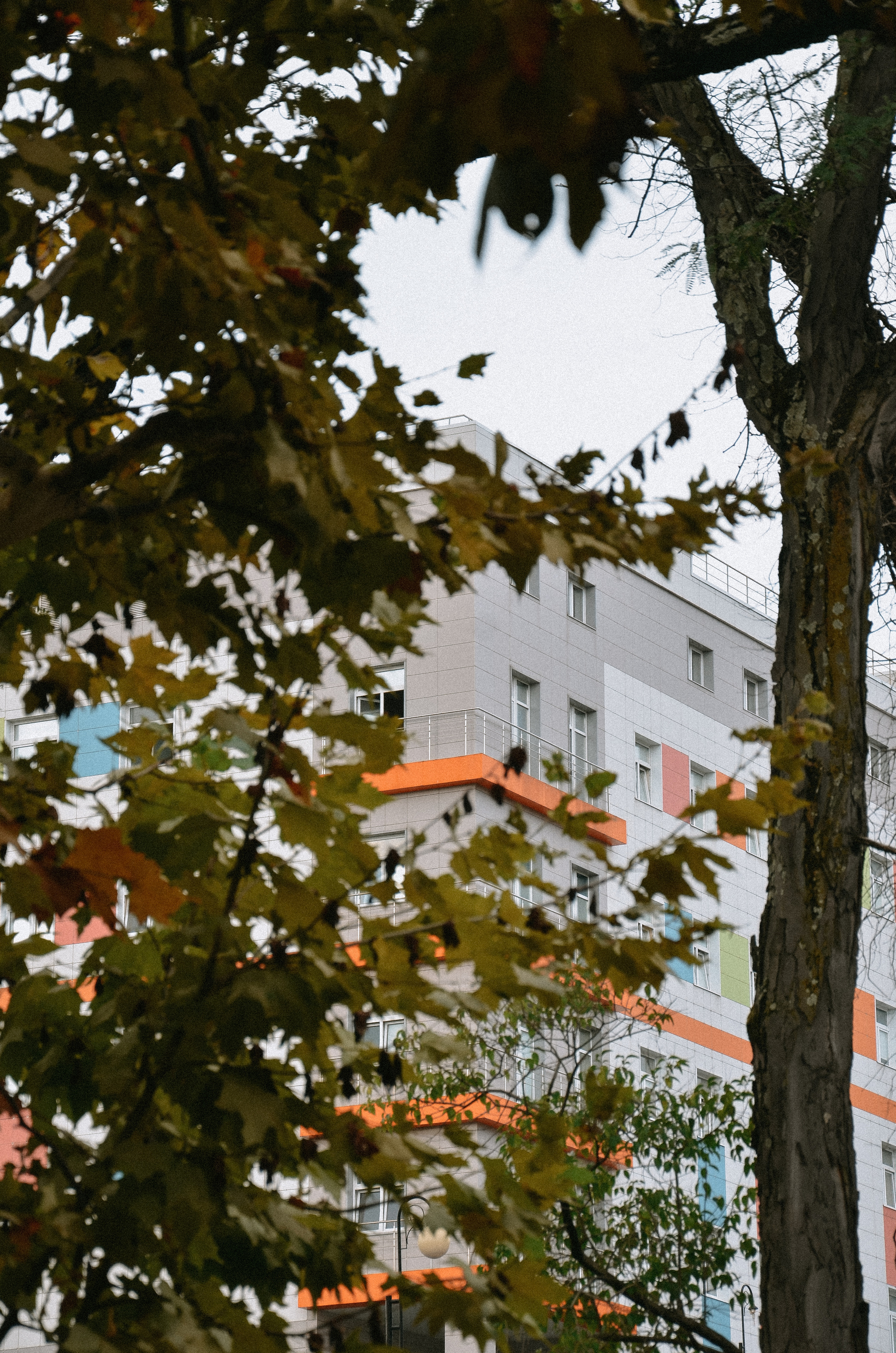 Выписка Леона. ФОТОГРАФ АННА КАЗАРЯН