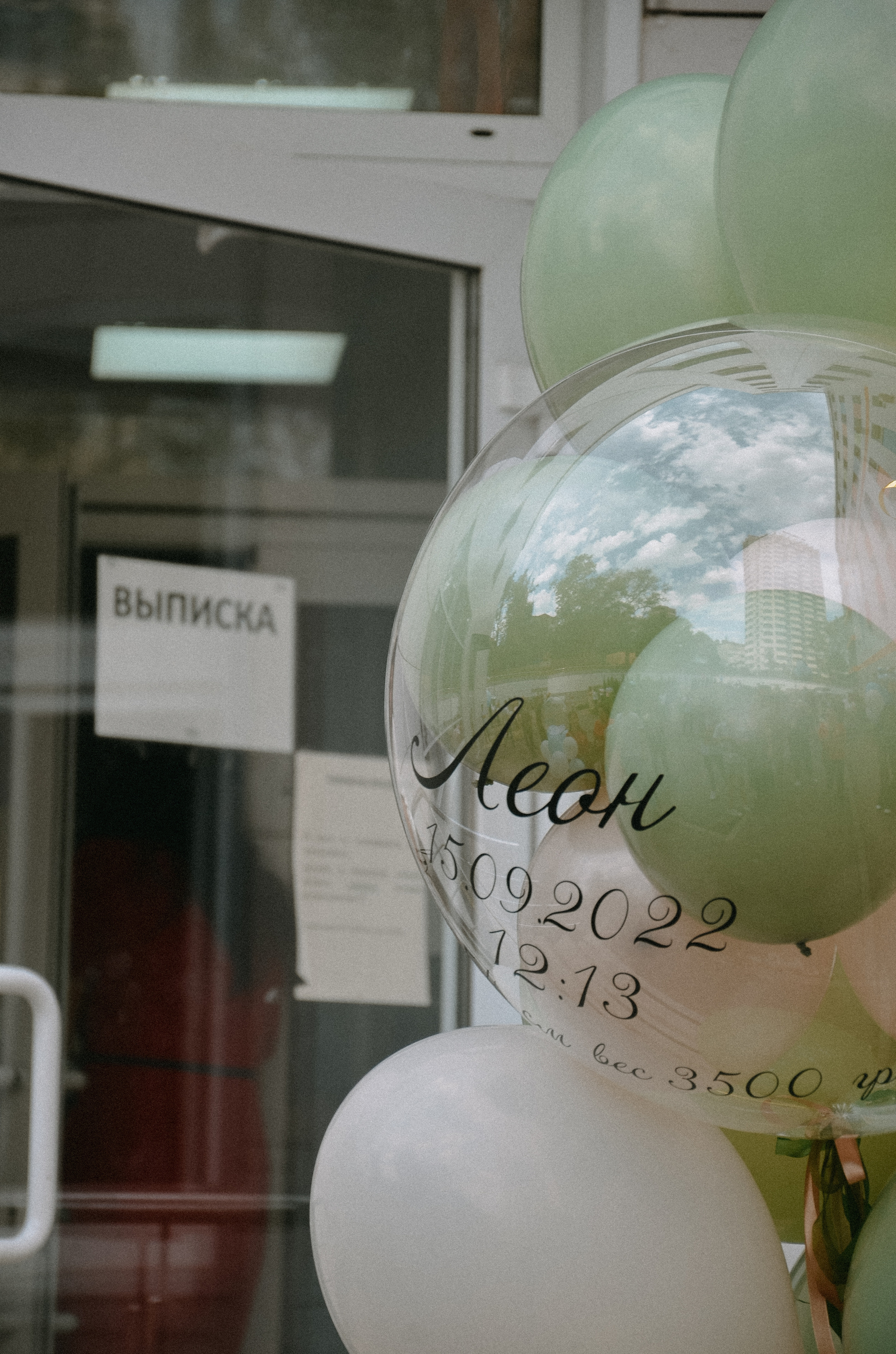 Выписка Леона. ФОТОГРАФ АННА КАЗАРЯН