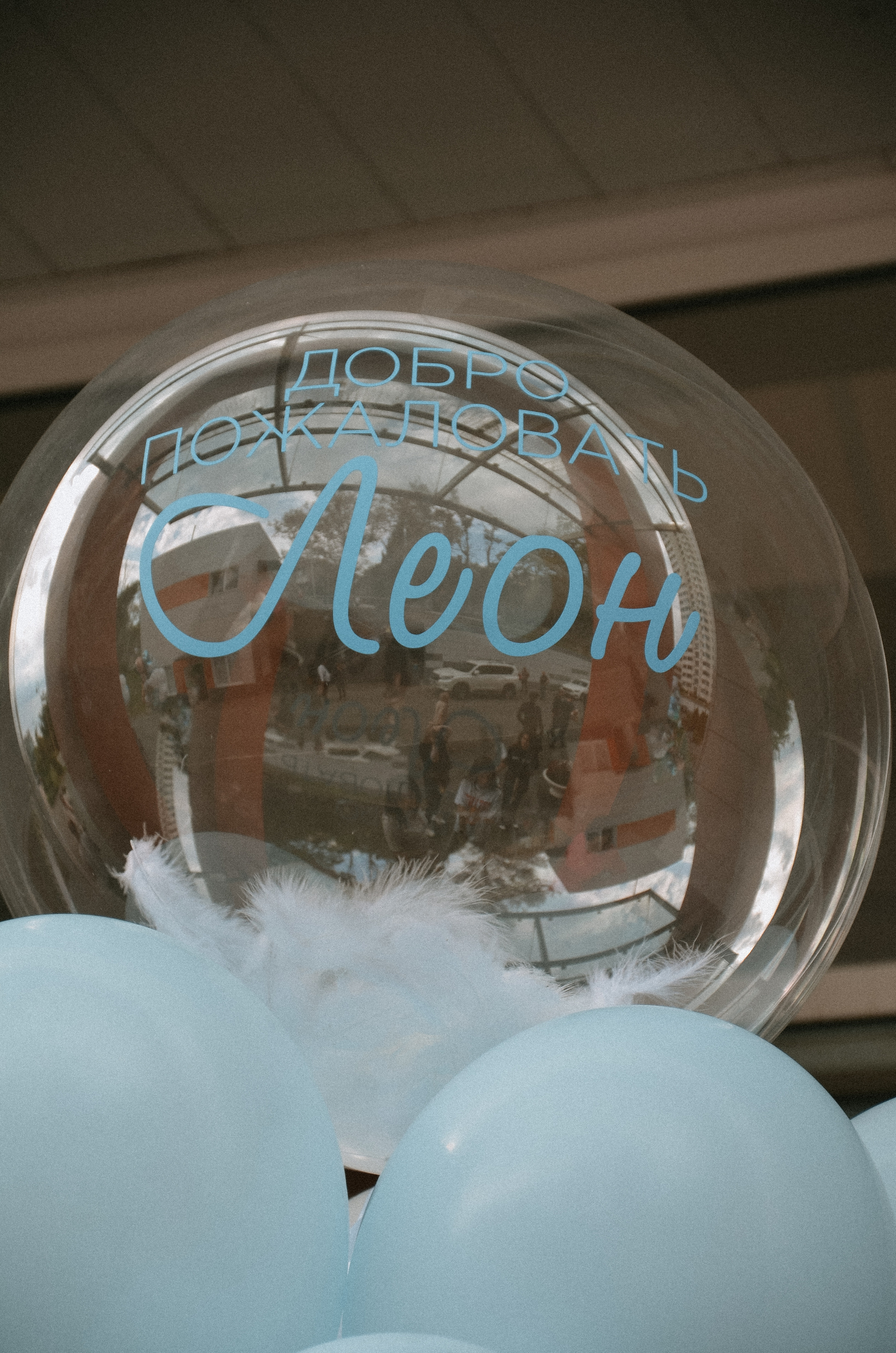 Выписка Леона. ФОТОГРАФ АННА КАЗАРЯН