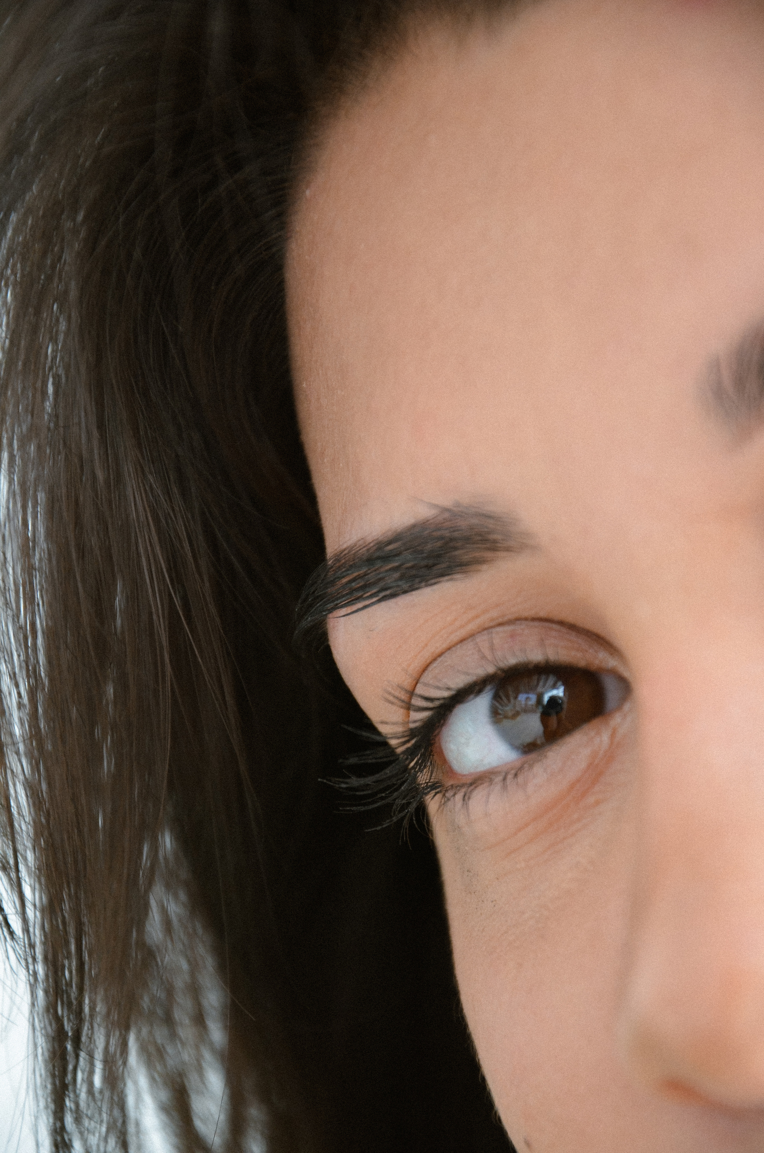 Бровист. ФОТОГРАФ АННА КАЗАРЯН