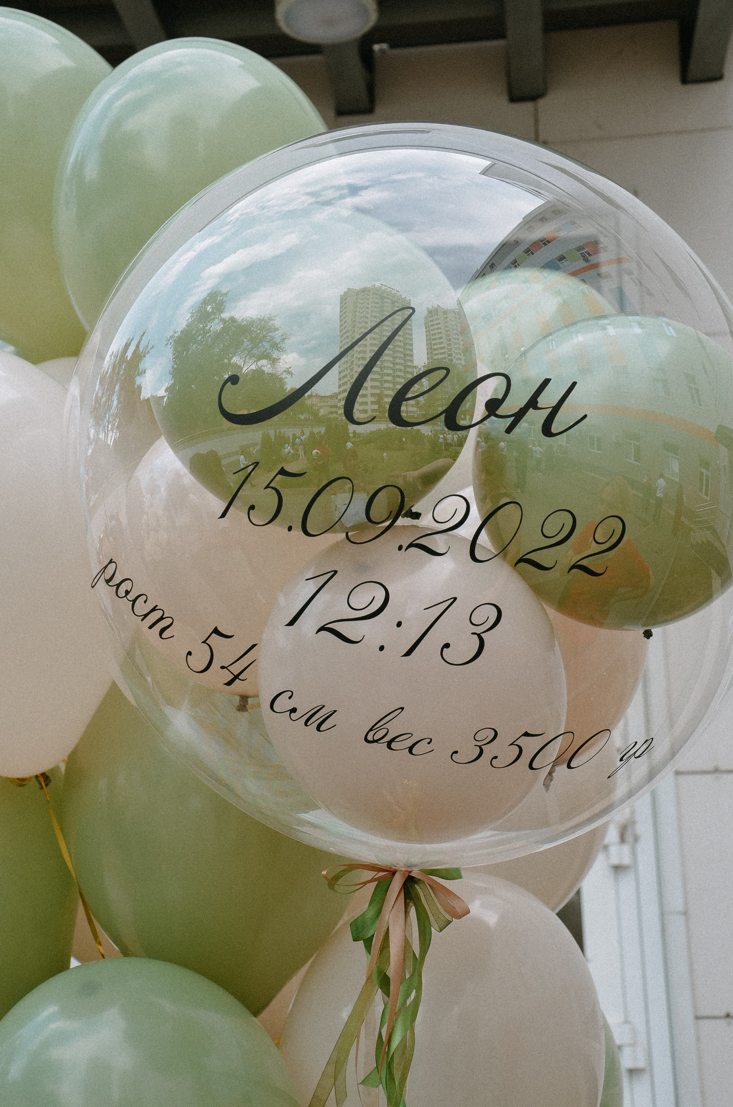 Выписка Леона. ФОТОГРАФ АННА КАЗАРЯН