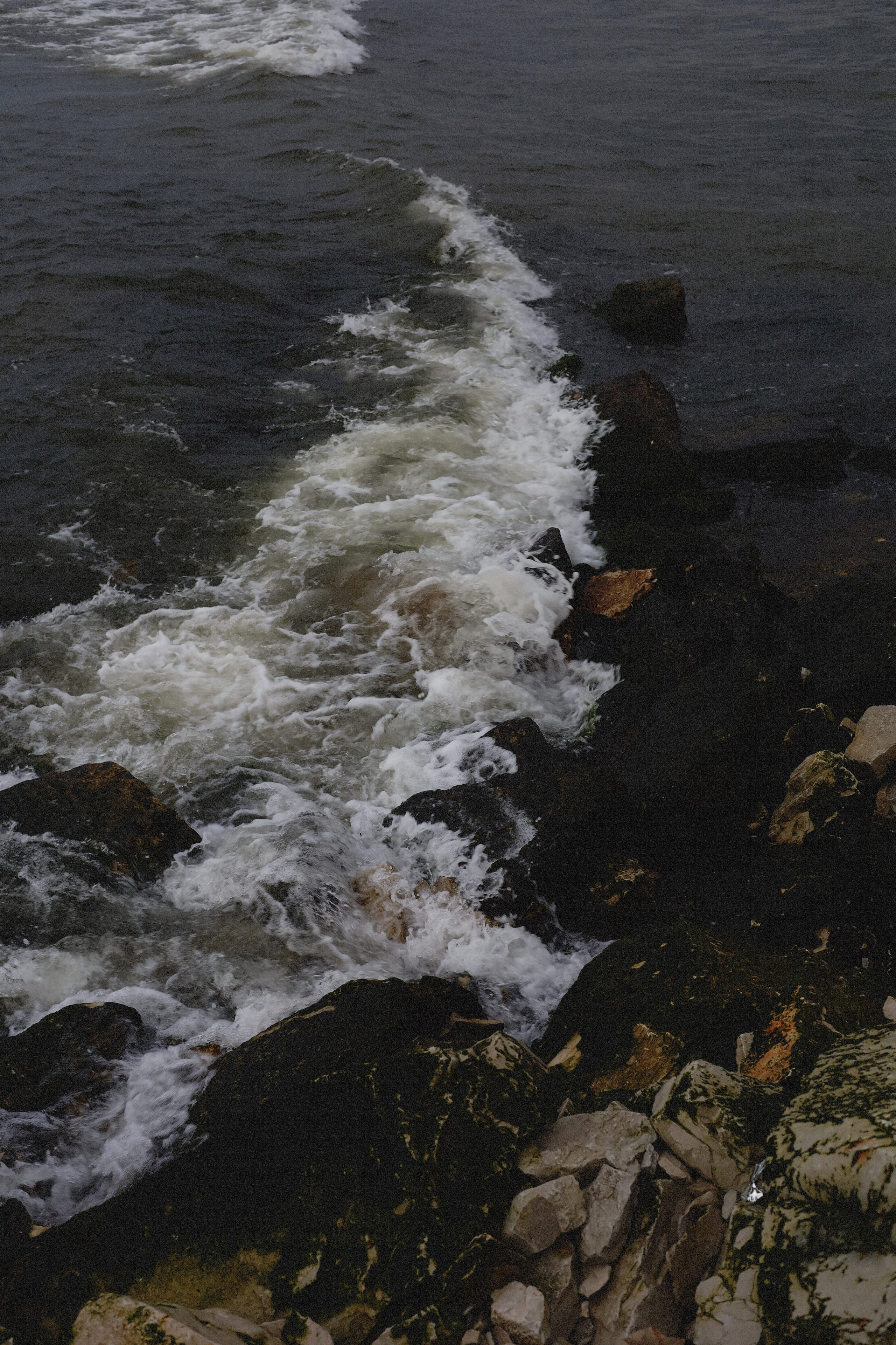 Все, что вокруг меня. Фотограф Евгения Ошкина, Саранск