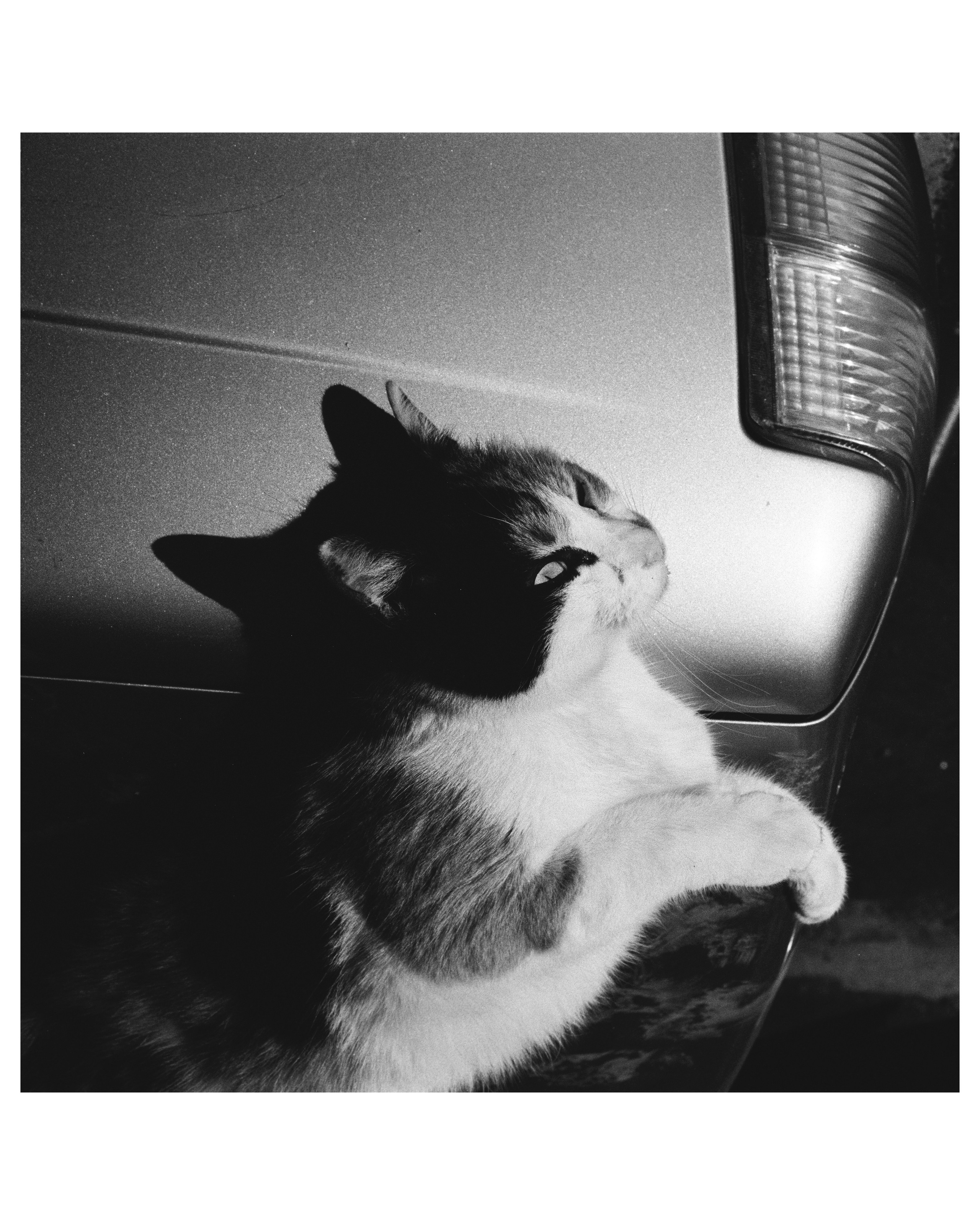 KALUGA. ANNA — PHOTOGRAPHER