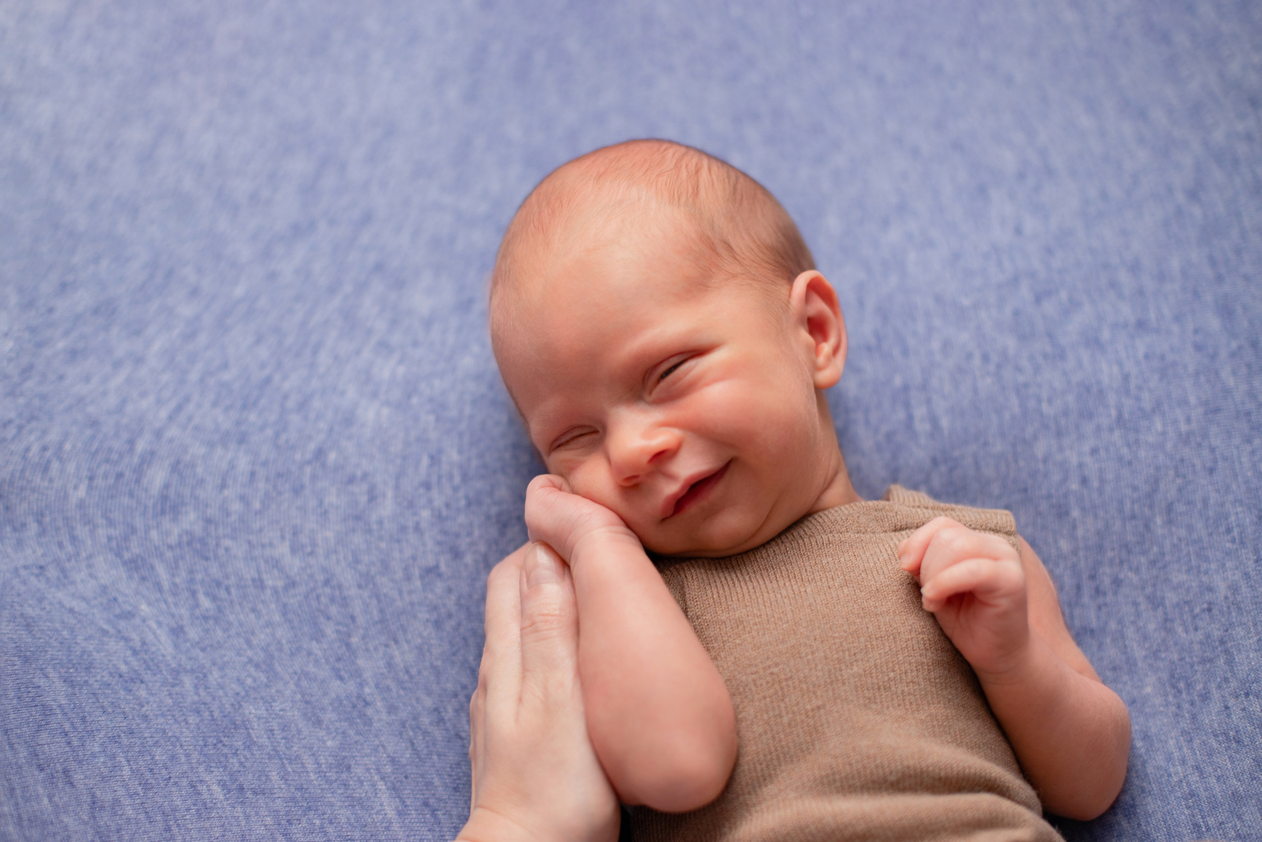 Малыш Василий (21 денечков). Фотограф в Северском районе| г. Краснодар Алена Заливчая