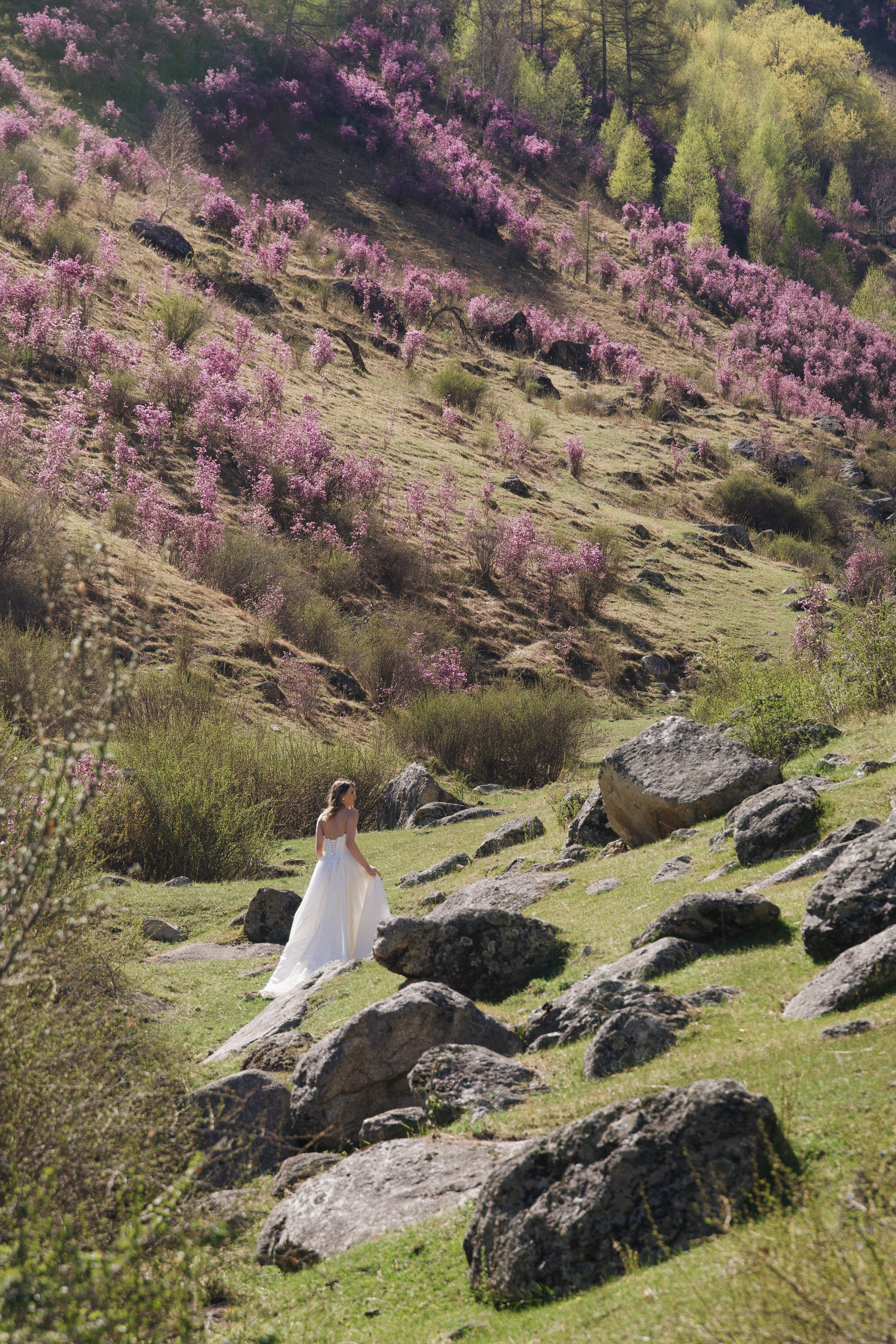 Bonfilia. Photokoval.ru