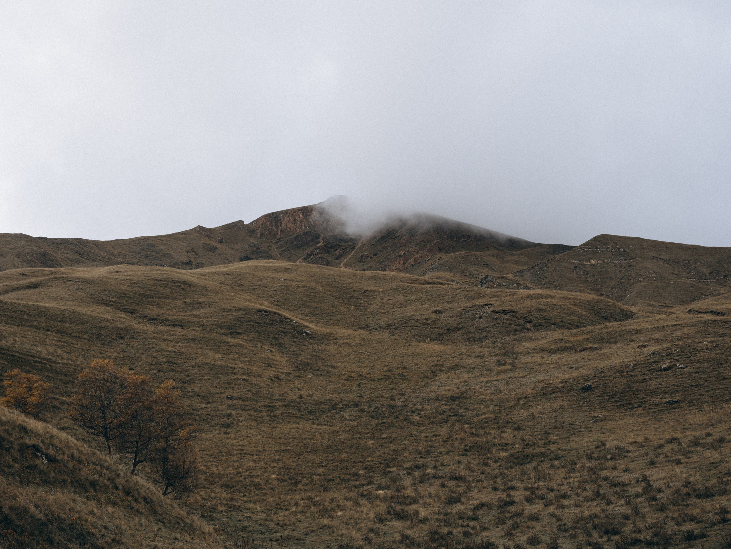 А&Е. Свадебный фотограф Ирина Беляева Пятигорск|Кисловодск|Эльбрус|Домбай