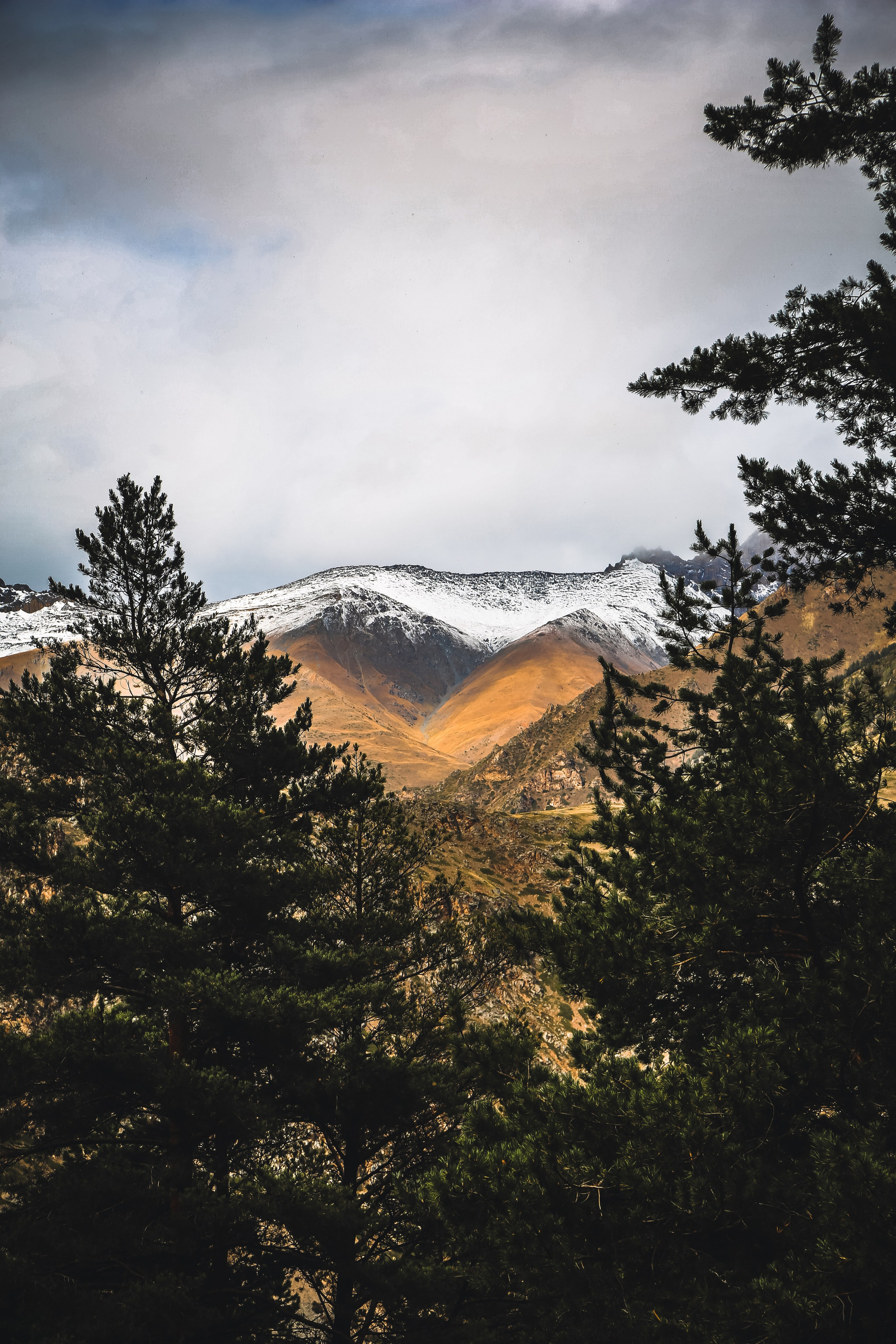 Кавказ: Кабарда vs. Балкария. Дарья Письменюк / Darya Leitstern — фотограф, музыкант, журналист, путешественник