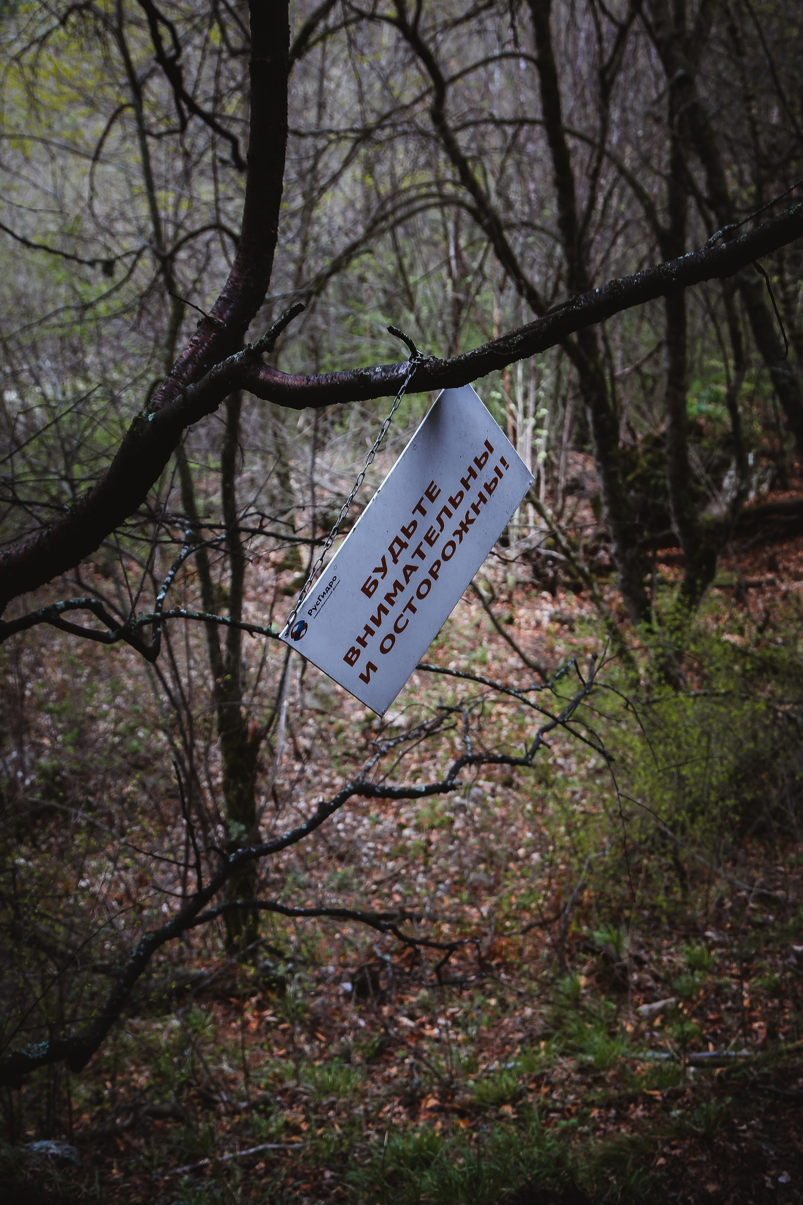 Кавказ: Северная Осетия. Дарья Письменюк / Darya Leitstern — фотограф, музыкант, журналист, путешественник