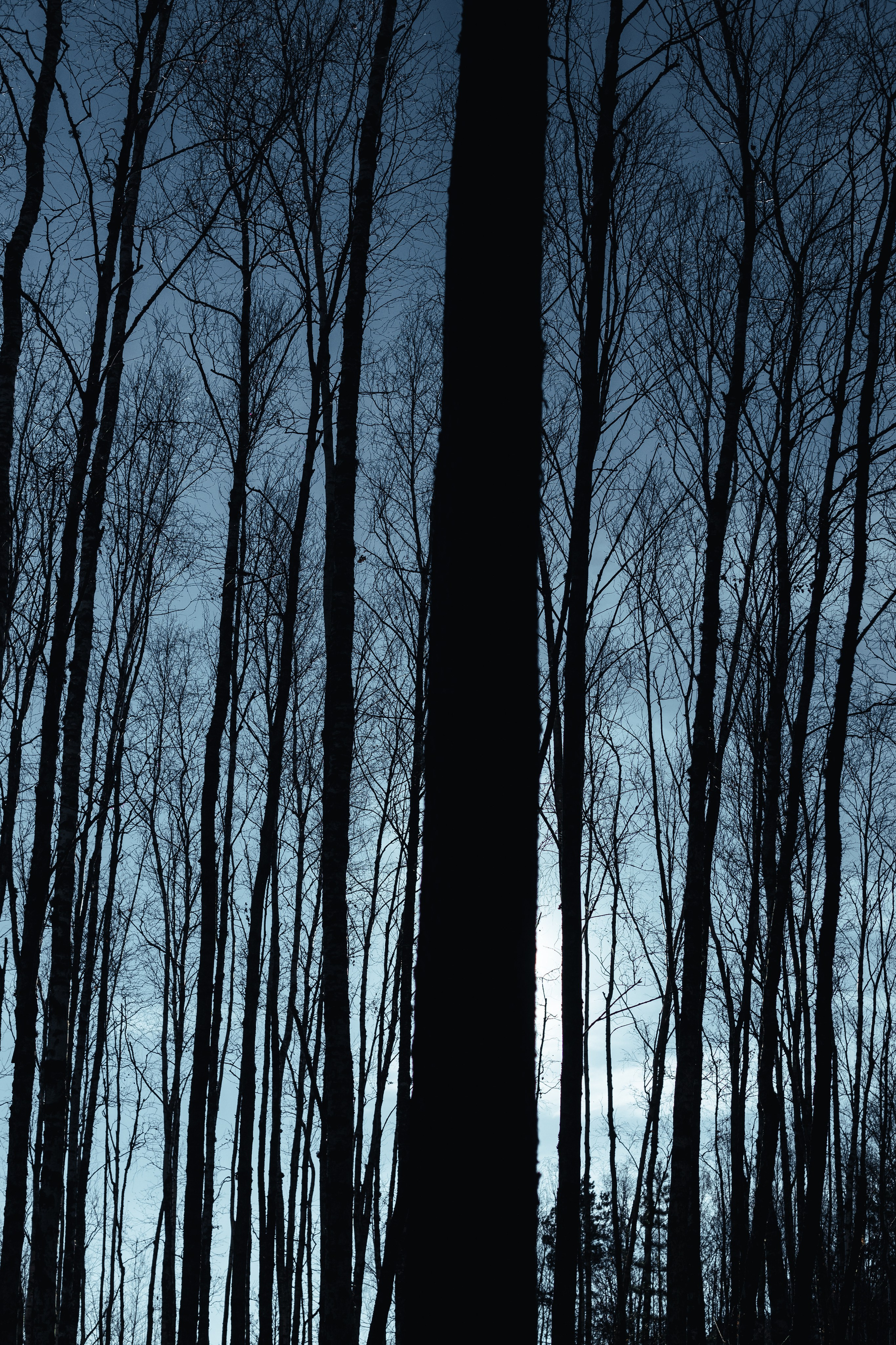 Репортажный и интерьерный фотограф, фотохудожник