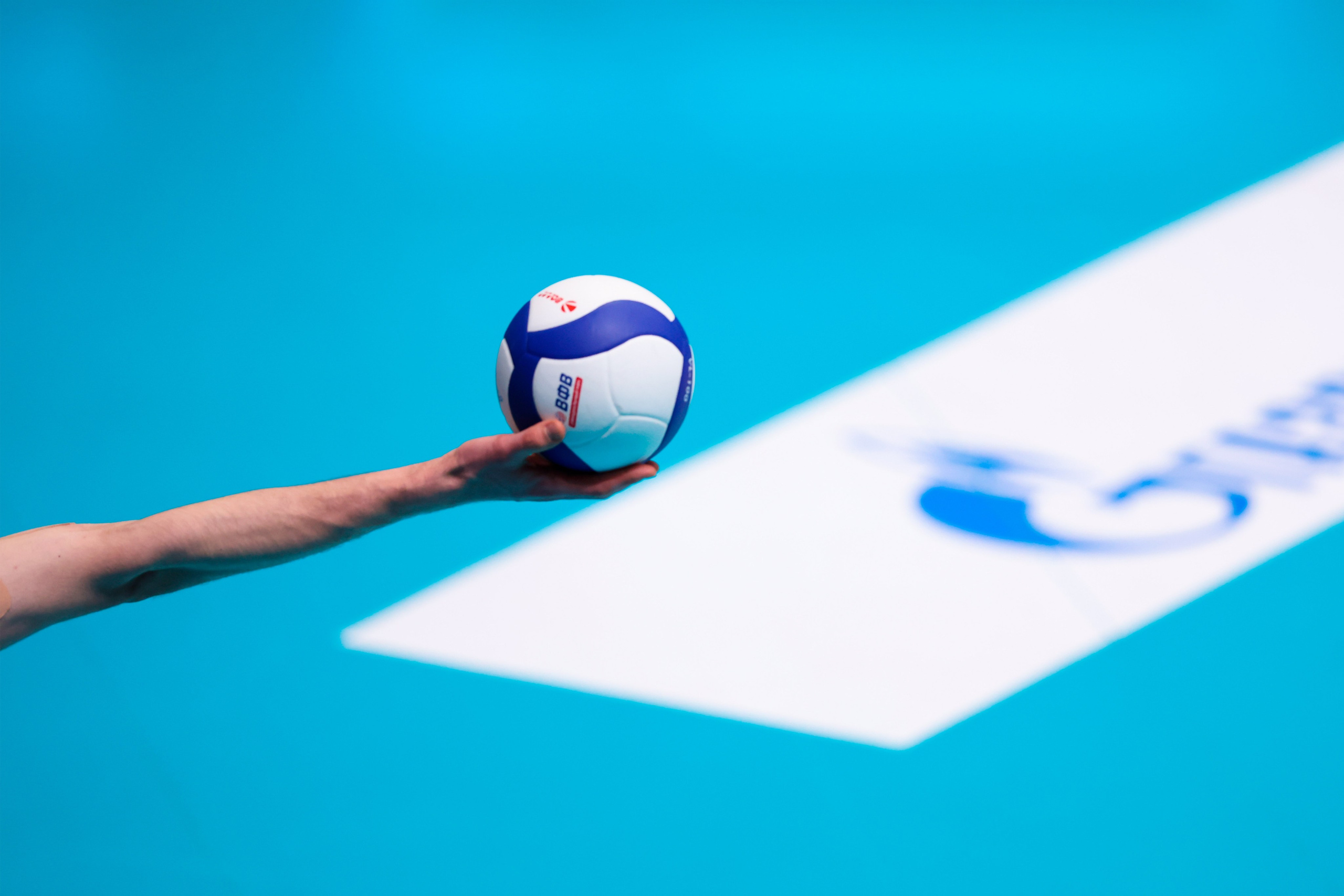 ВК Зенит — ВК АСК 15.03.2025. Спортивный и репортажный фотограф Антон Тереханов