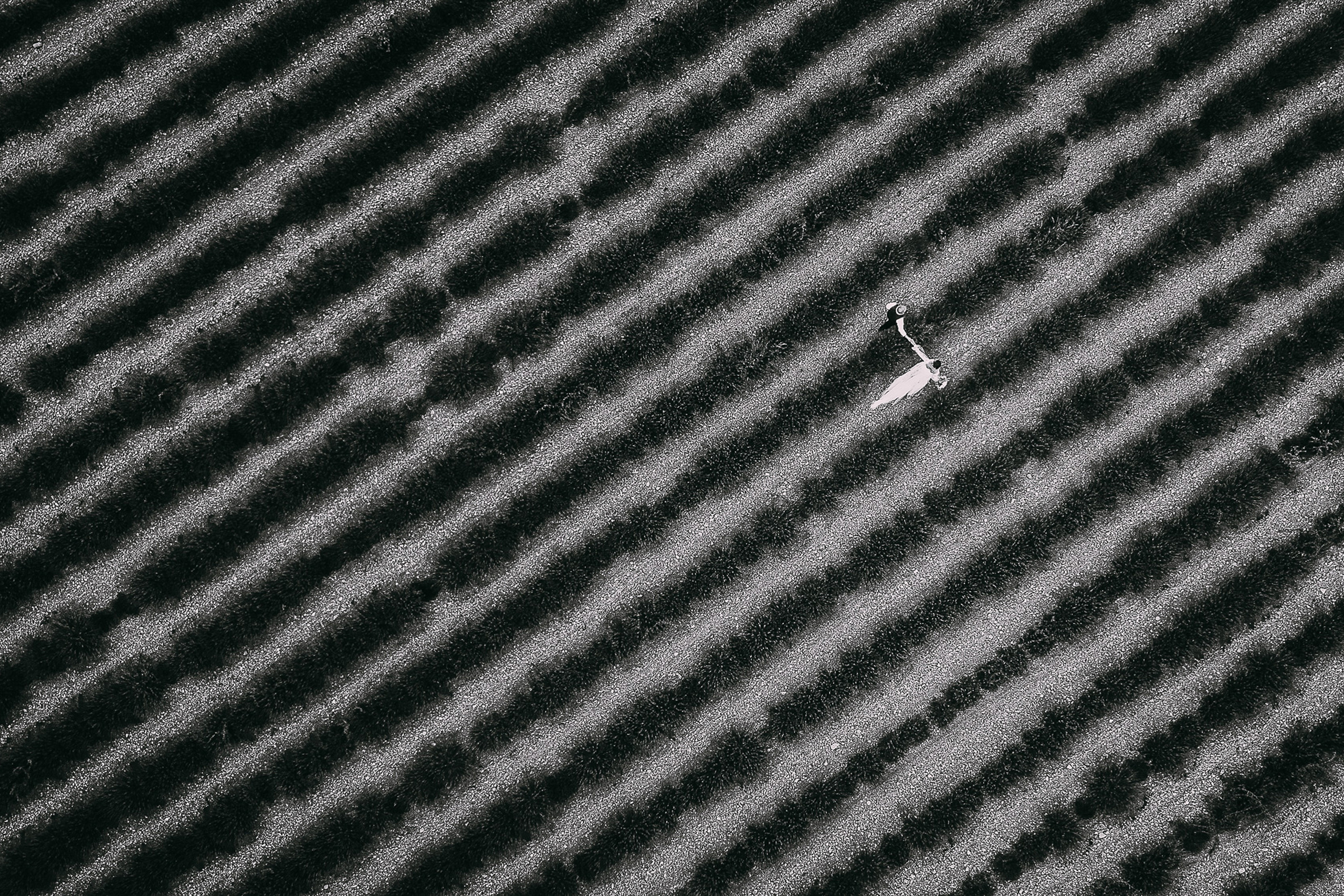 Портфолио. Свадебный фотограф — Ефимов Сергей