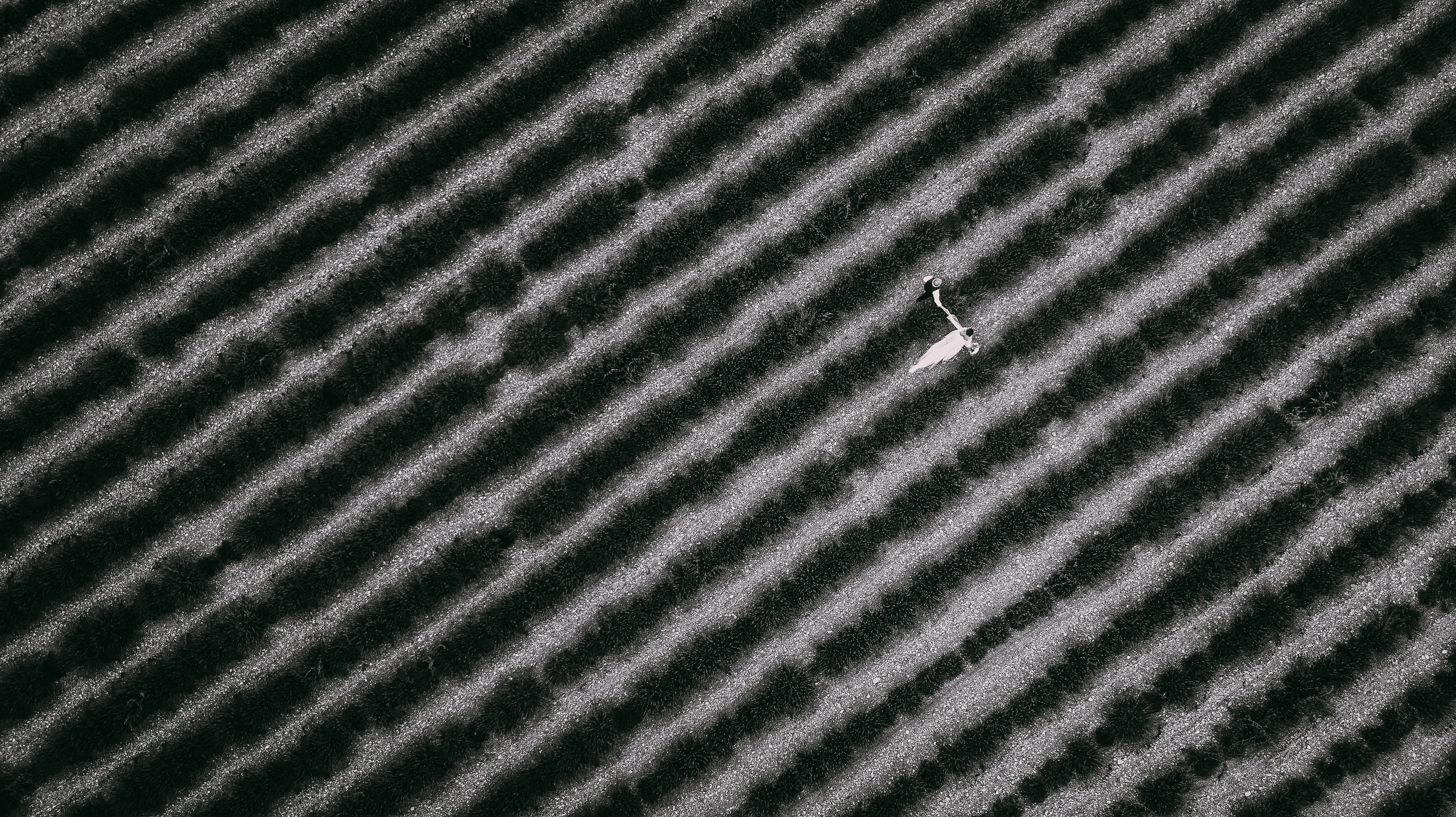 Четыре страны — одна любовь. Свадебный фотограф — Ефимов Сергей