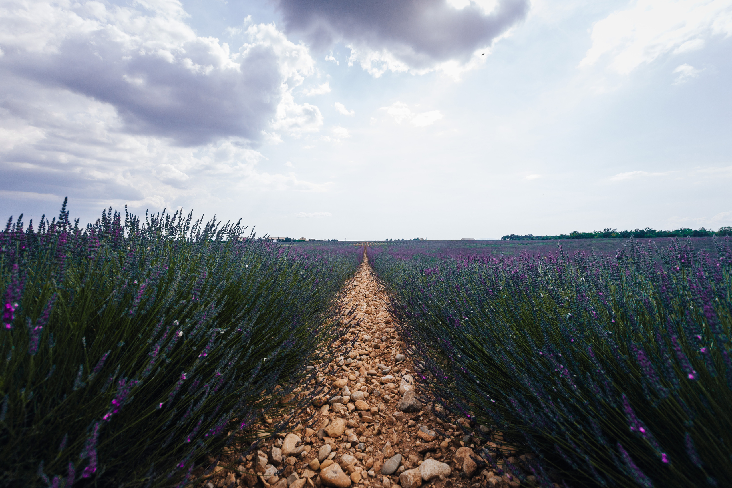 Четыре страны — одна любовь. Свадебный фотограф — Ефимов Сергей