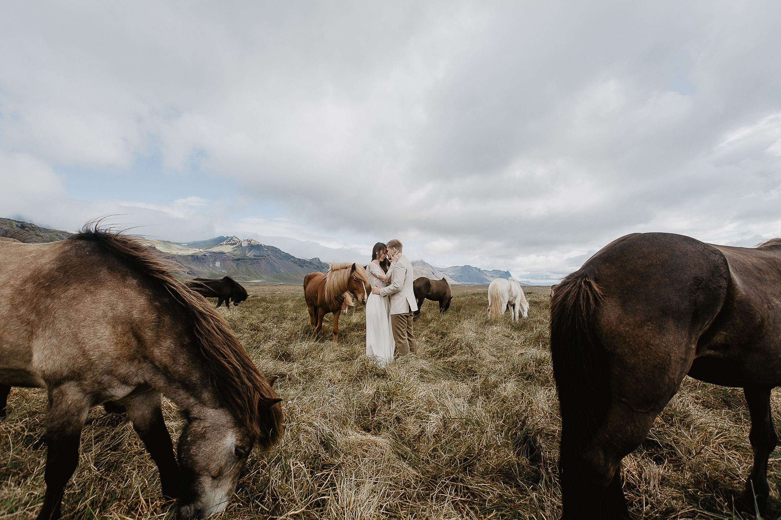 Свадебный фотограф — Ефимов Сергей