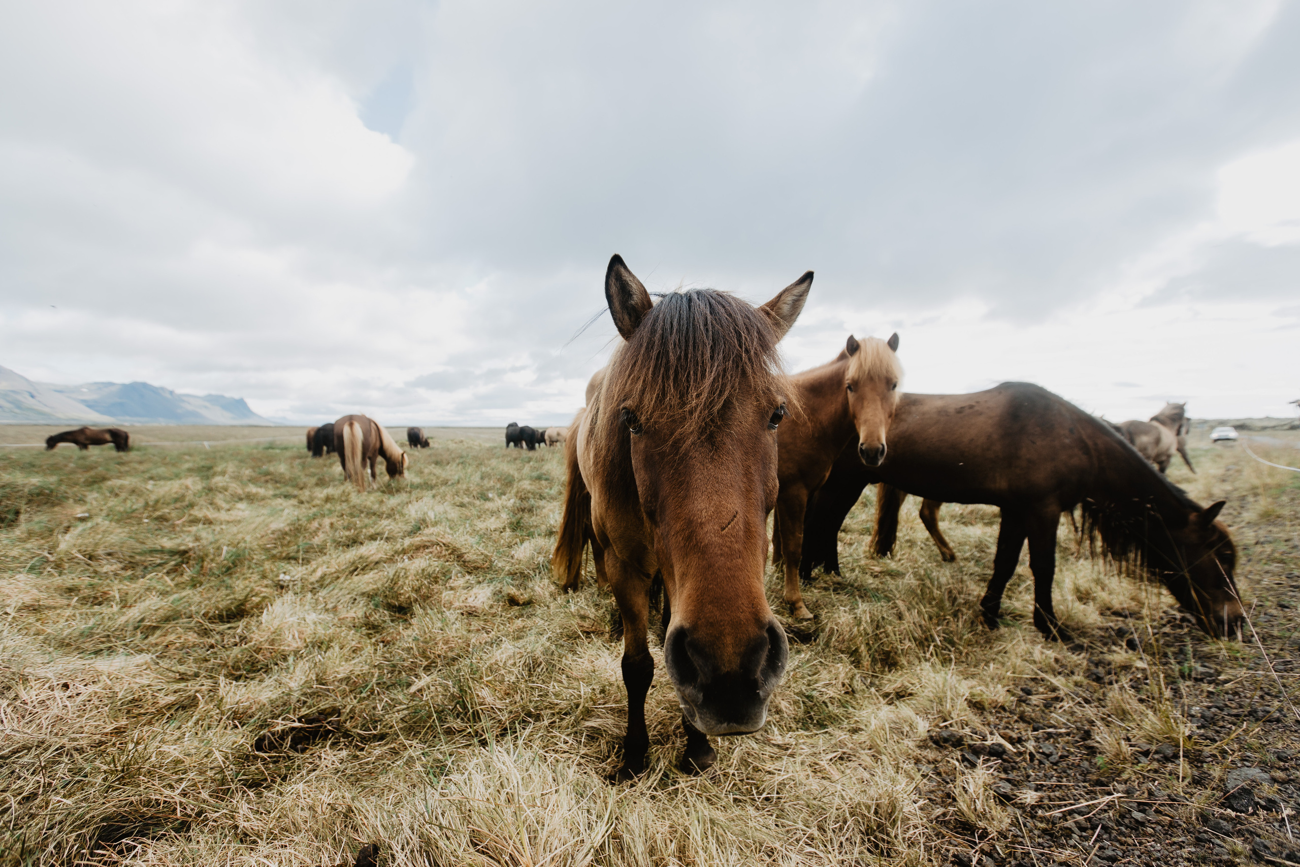Любить на Краю Света. Свадебный фотограф — Ефимов Сергей