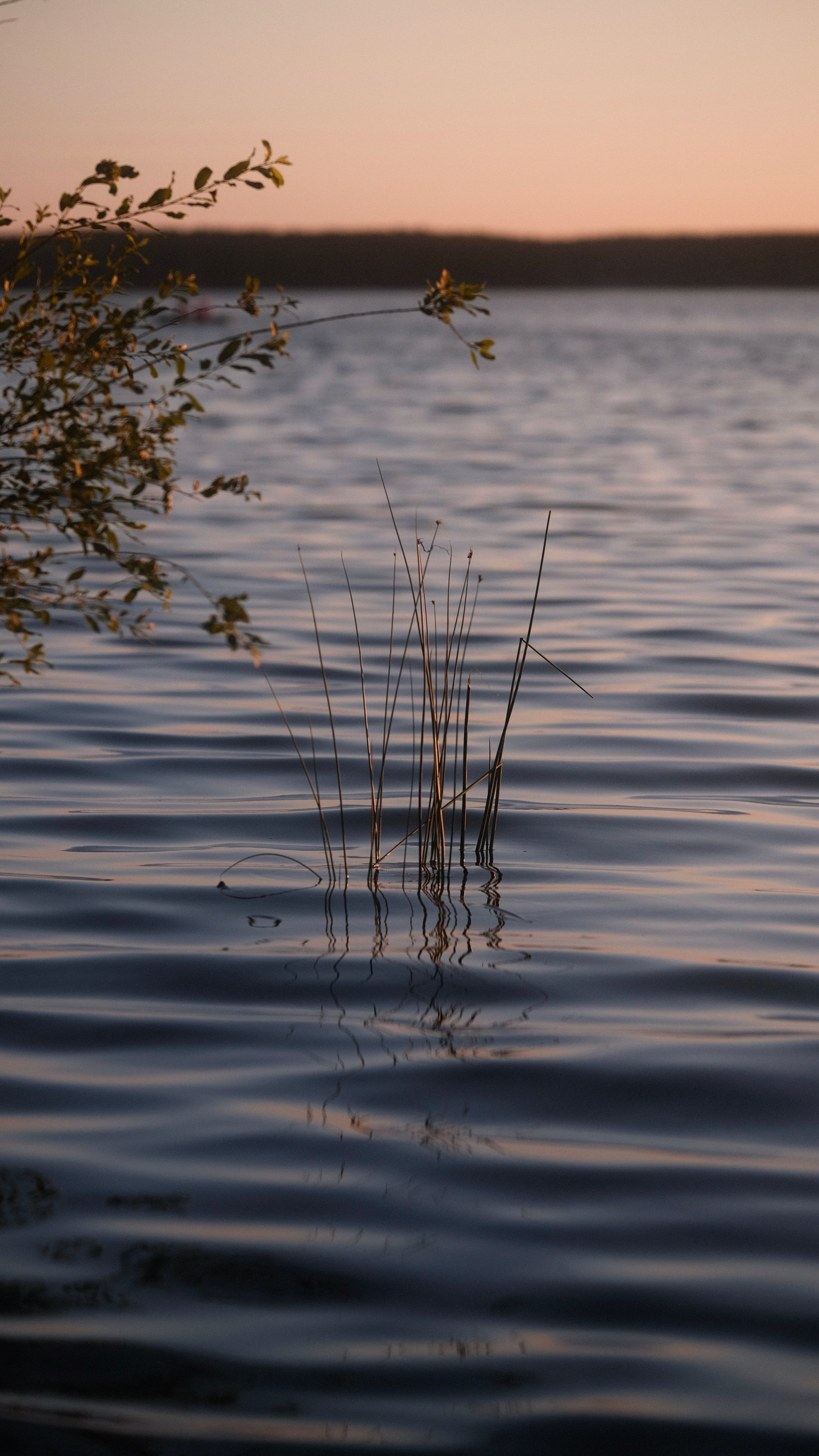 Пейзажи. Фотограф-любитель из Кирова Андрей Погребняк